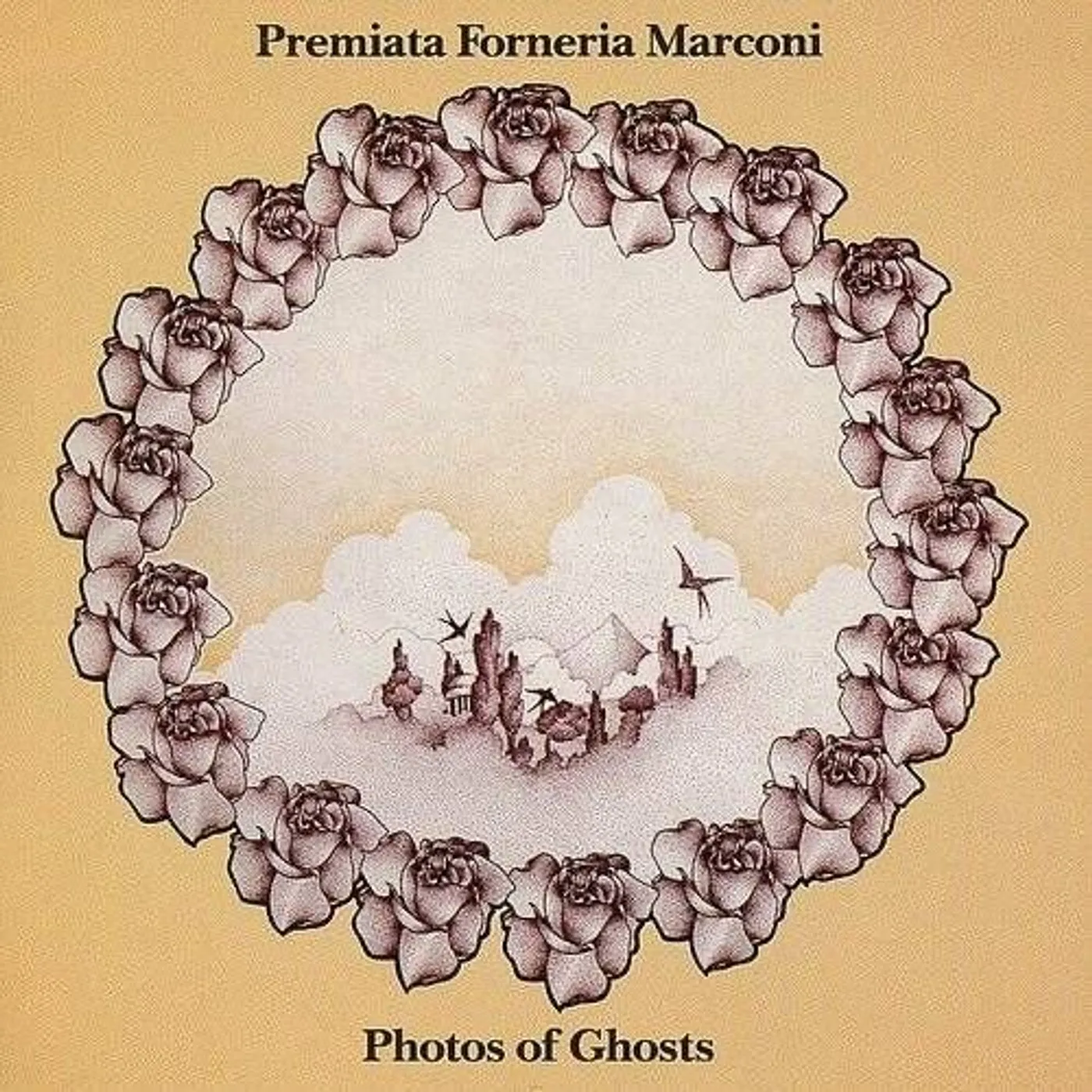 PFM Photos Of Ghosts vinyl record