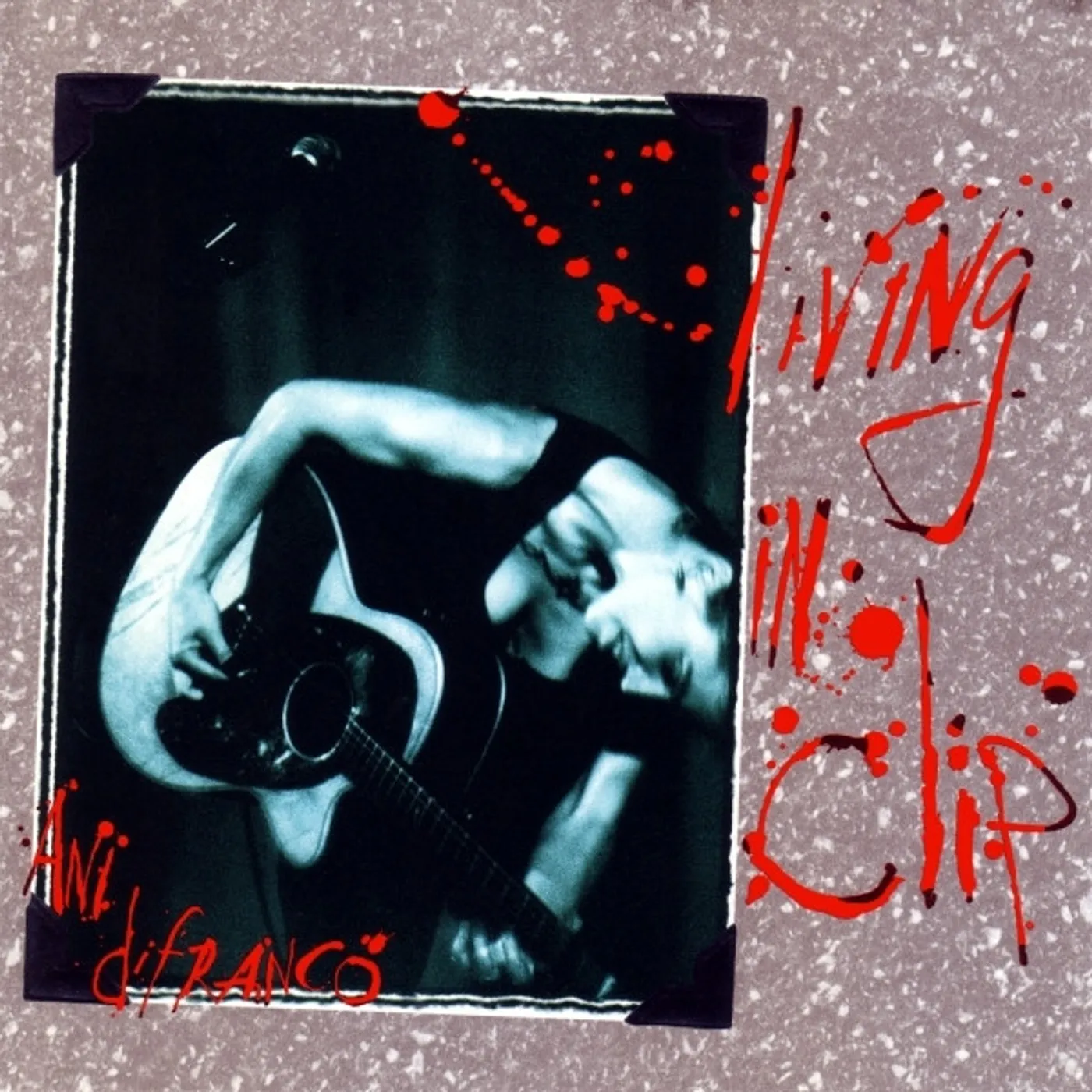 Ani DiFranco Living In Clip vinyl record