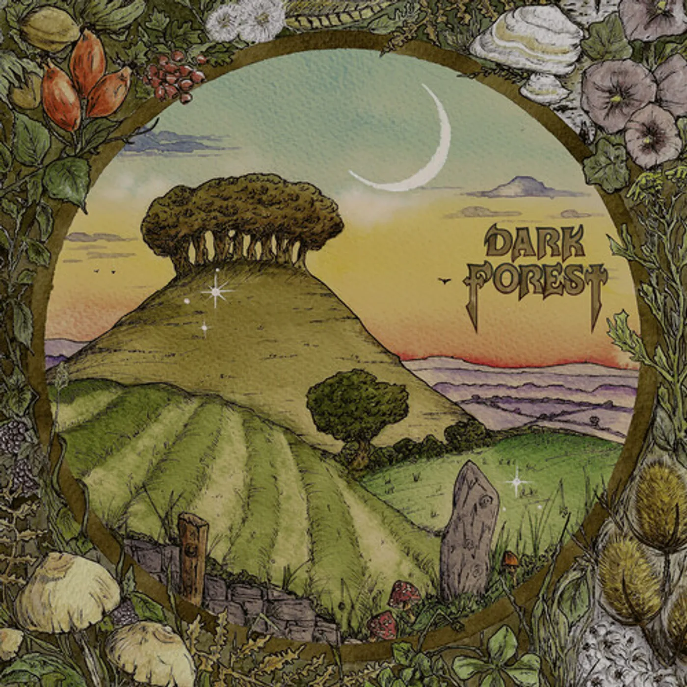 Dark Forest Ridge & Furrow Vinyl Record