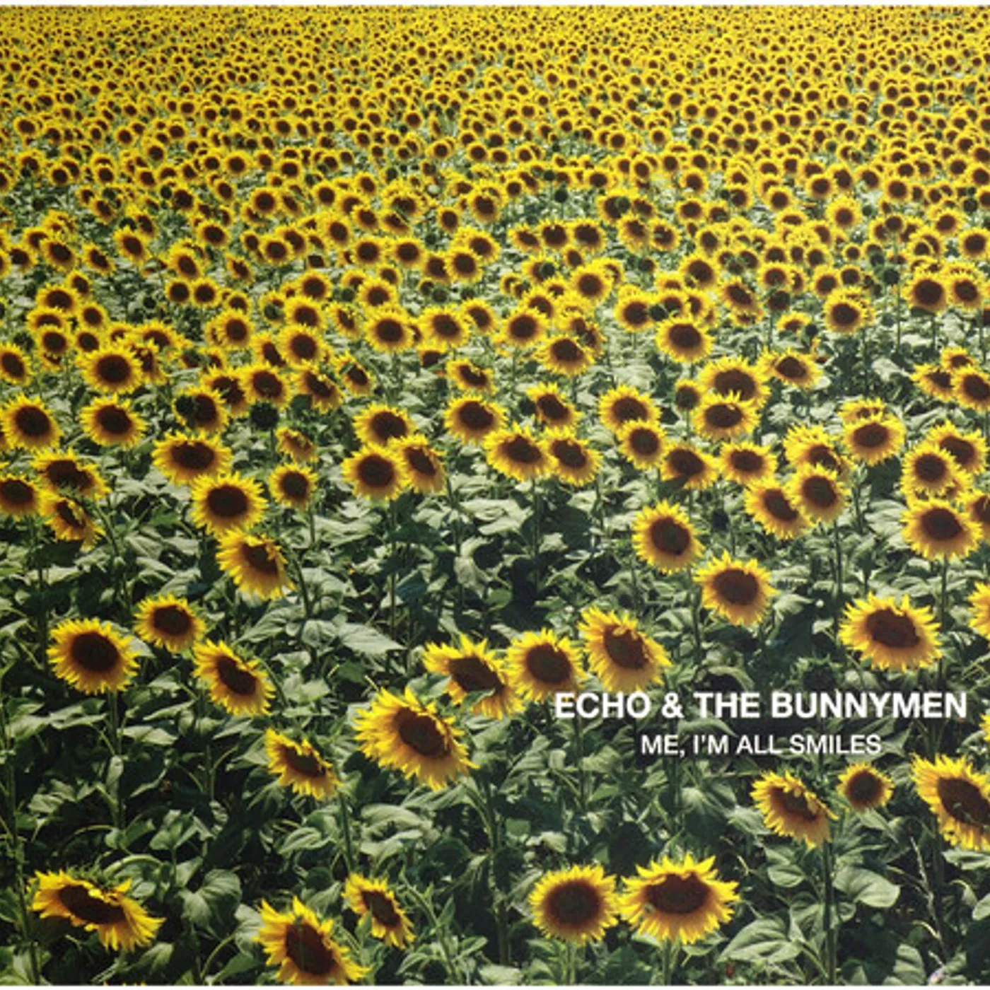 Echo & the Bunnymen ME I'M ALL SMILES CD