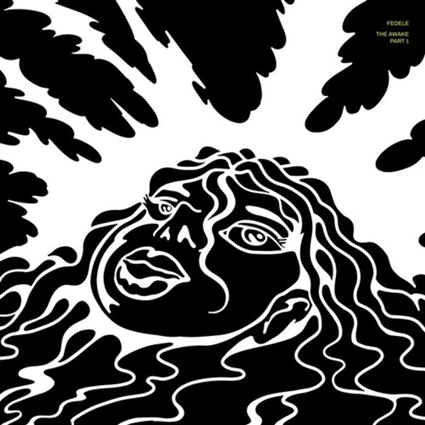 Fedele AWAKE PT 1 Vinyl Record
