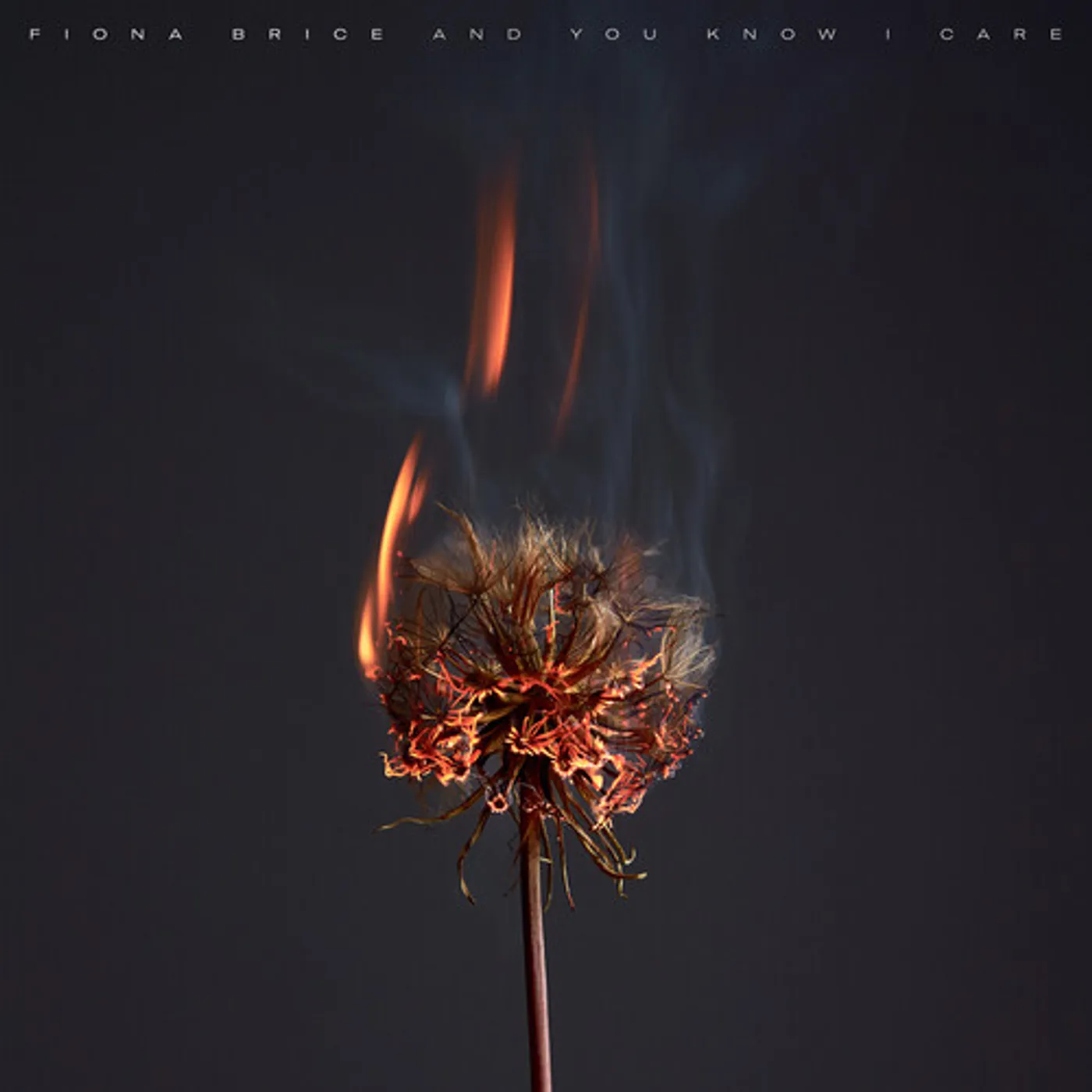 Fiona Brice AND YOU KNOW I CARE CD