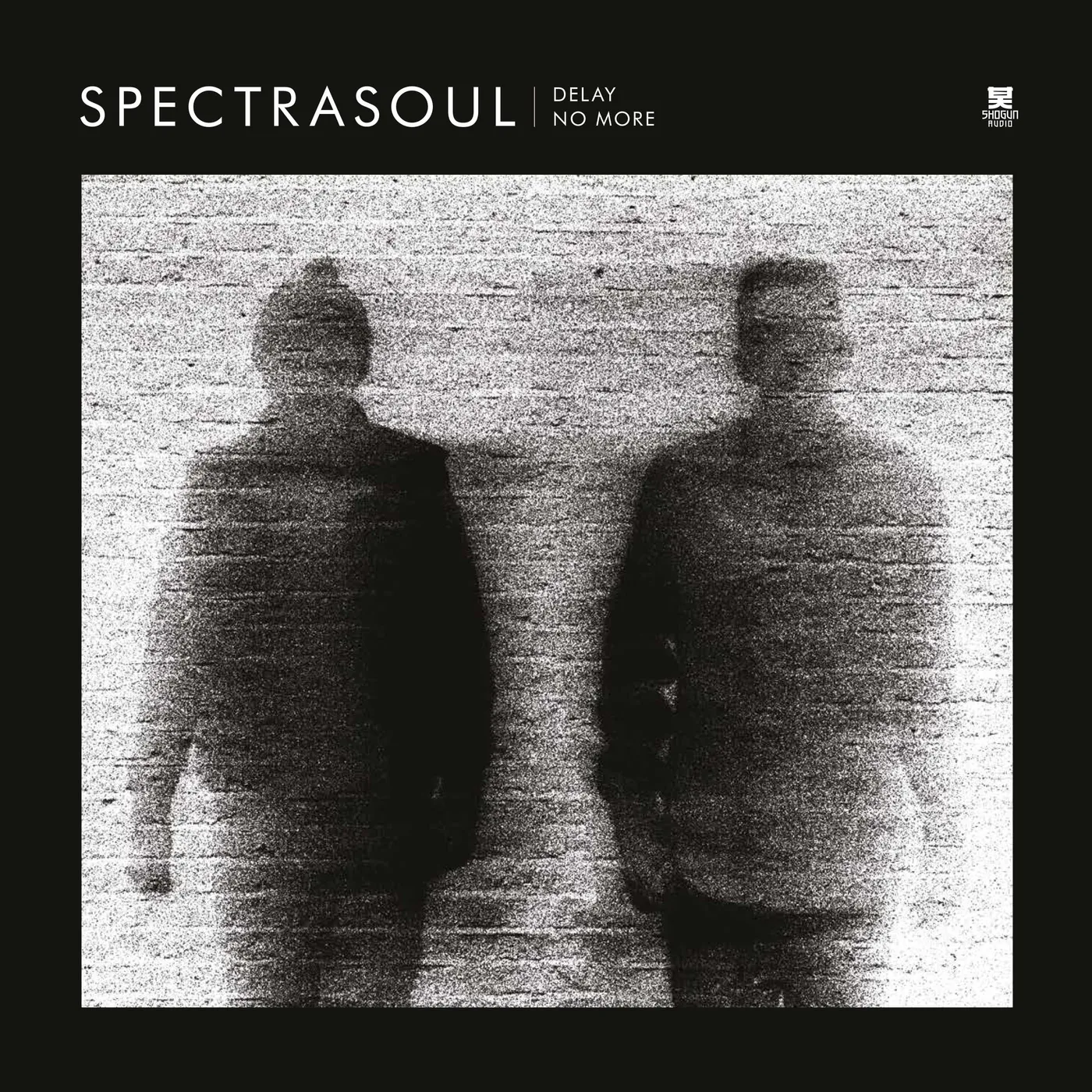 SpectraSoul Delay No More: 10 Year Anniversary Vinyl Record