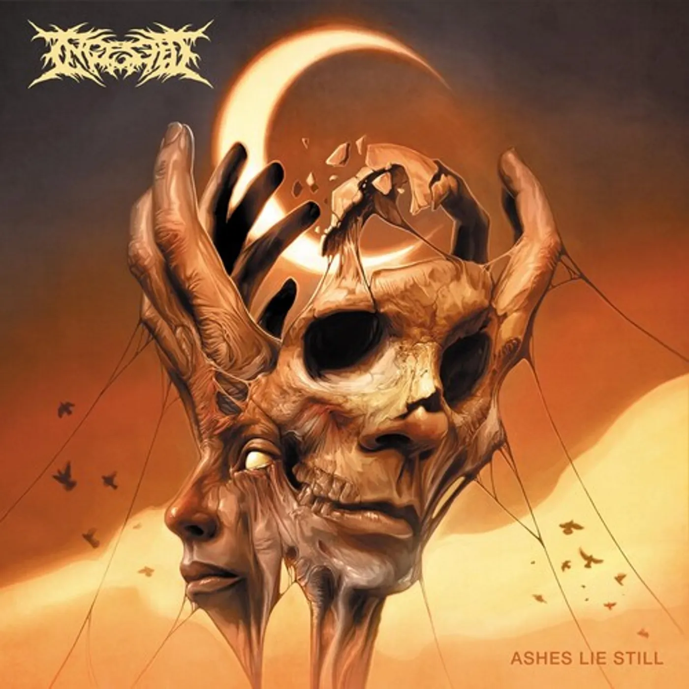 Ingested ASHES LIE STILL CD