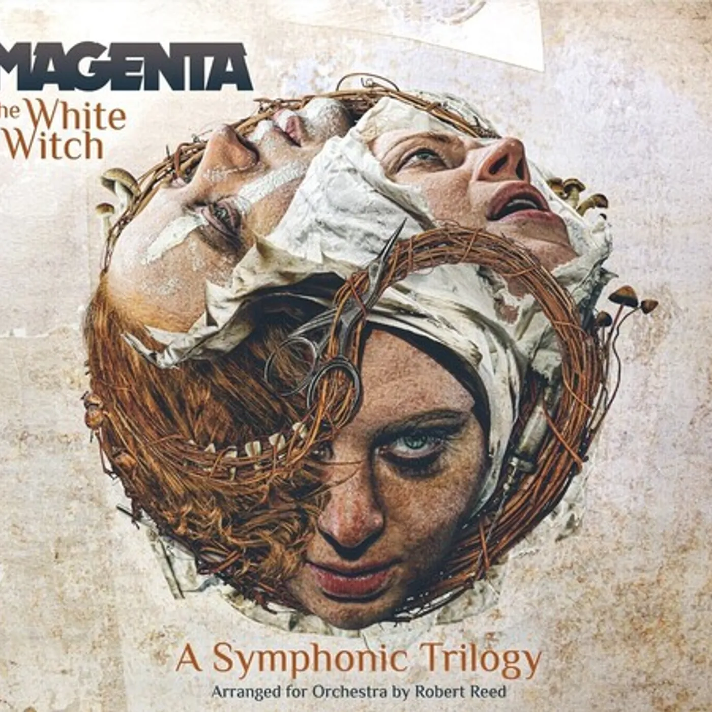 その他 Chaos from the Stage/ [DVD] Magenta CHAOS FROM THE STAGE DVD