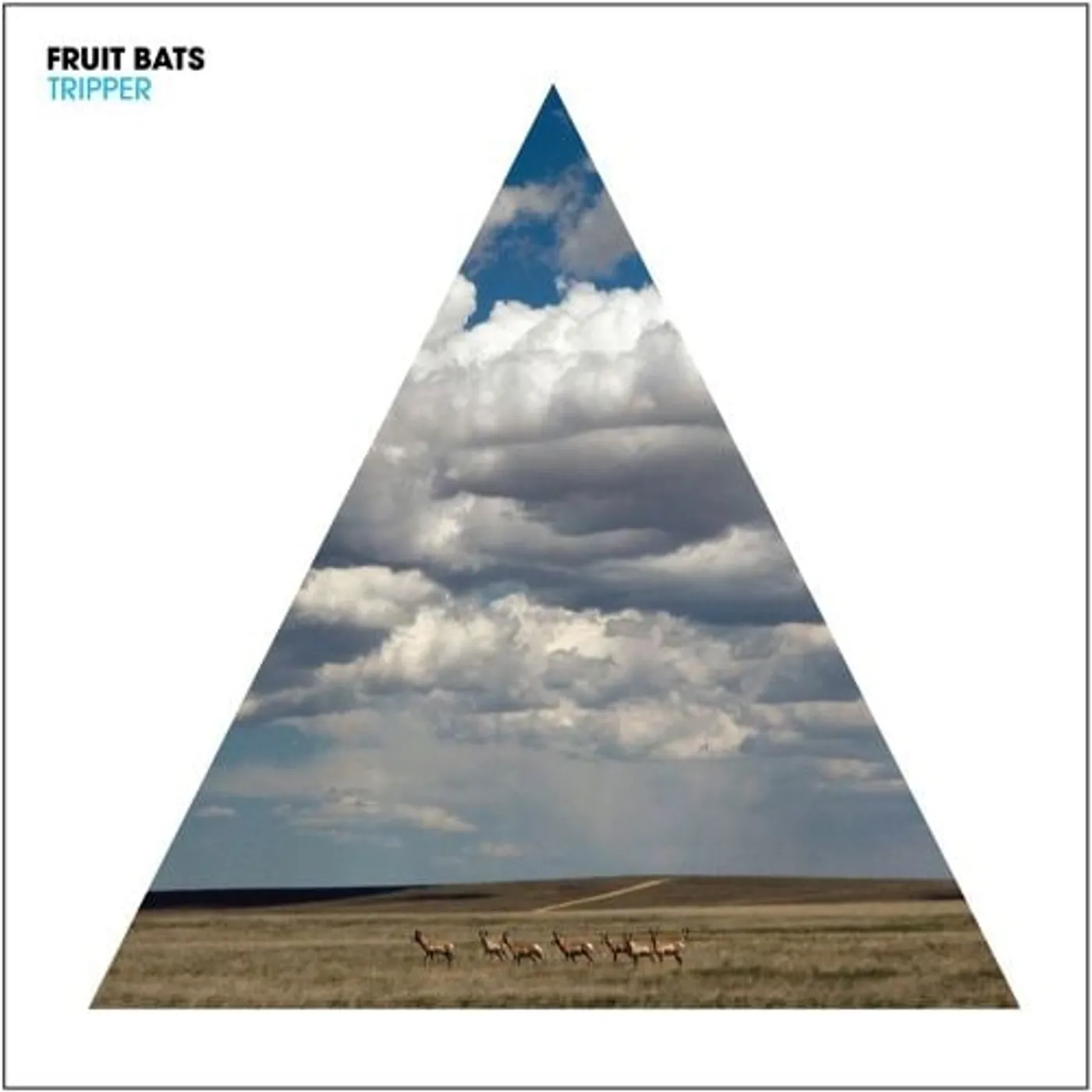 Fruit Bats Tripper Vinyl Record