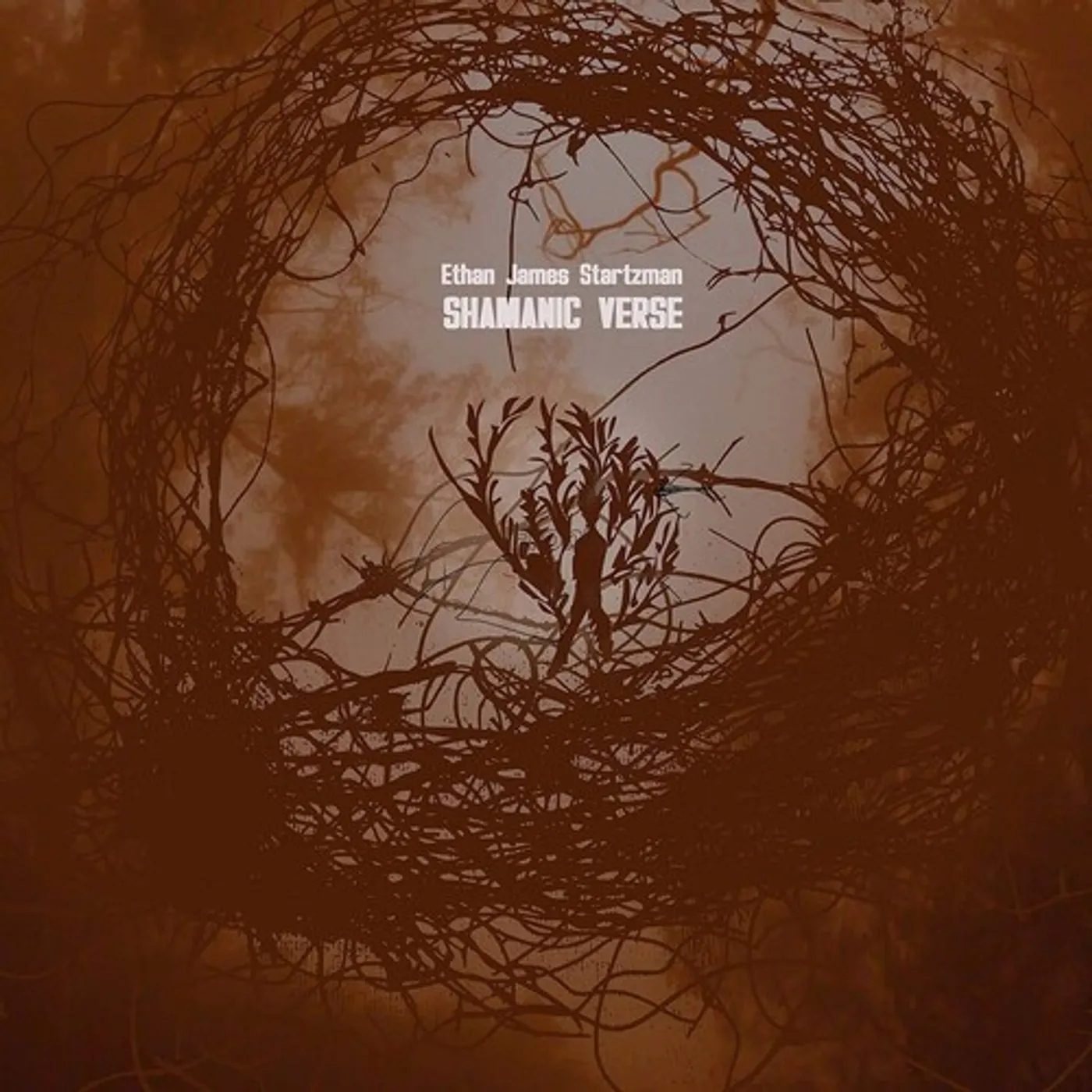 Ethan James Startzman Shamanic Verse Vinyl Record