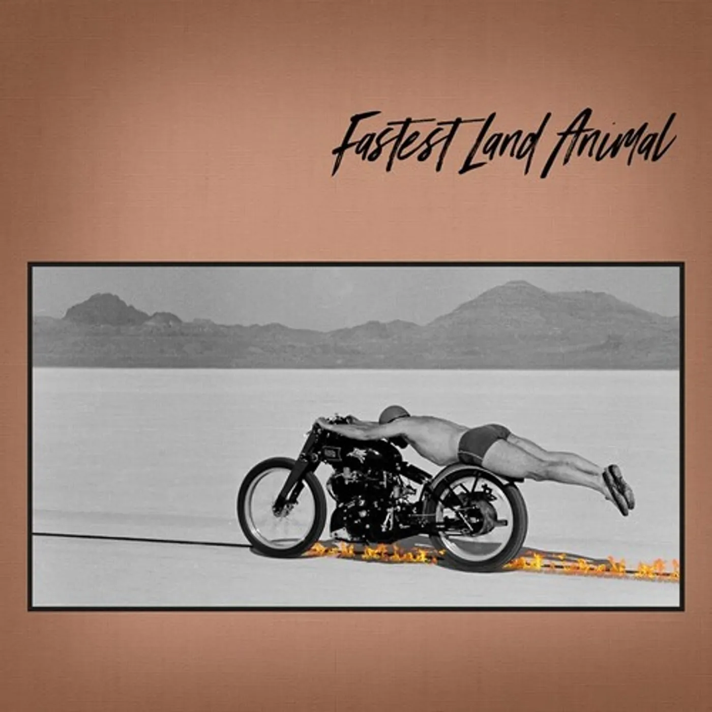 Fastest Land Animal EAST COAST, WEST COAST, IN BETWEEN CD