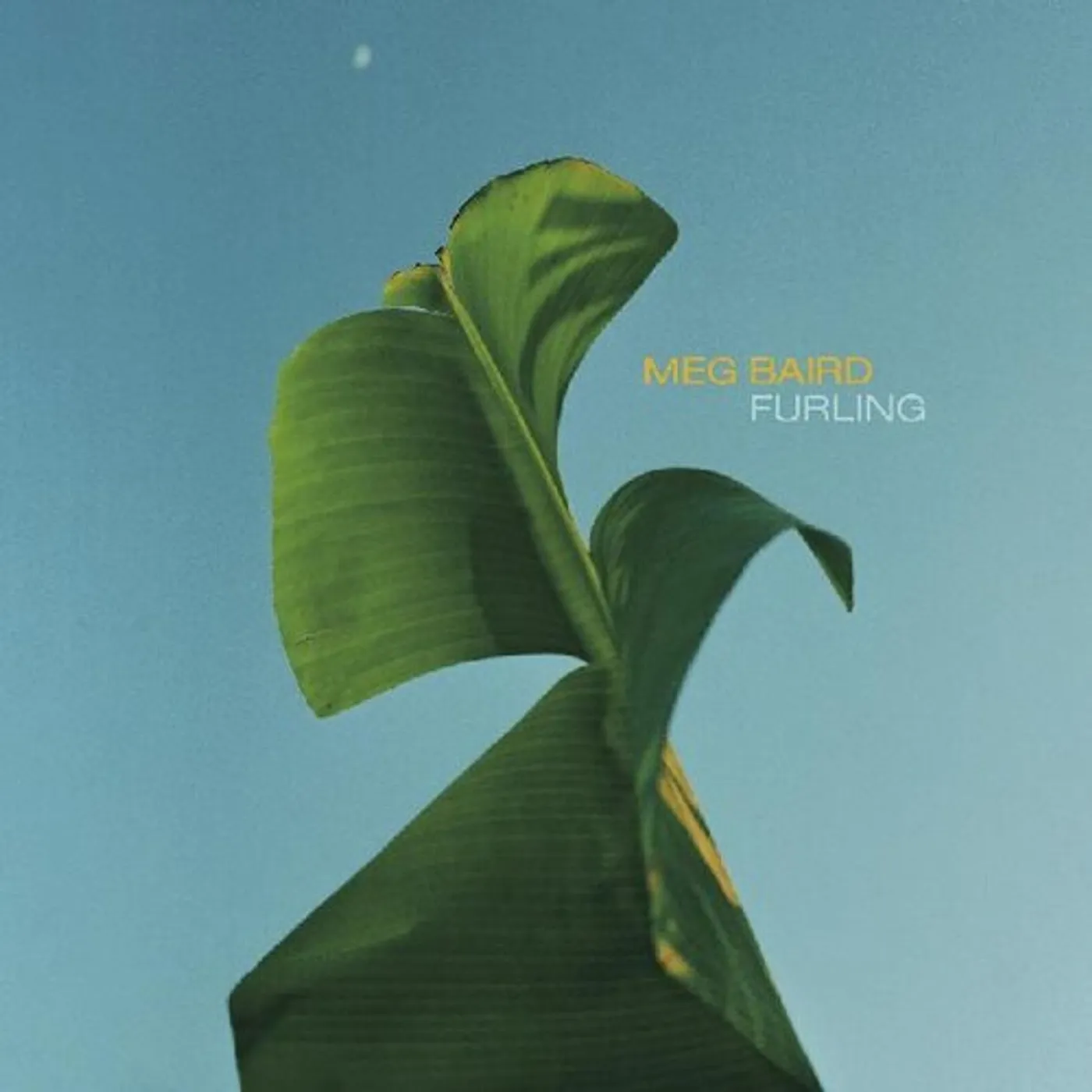 Meg Baird Furling CD