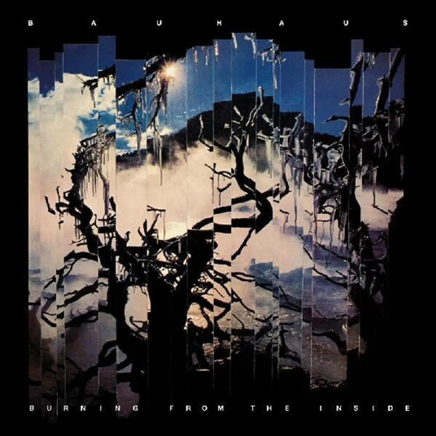 Bauhaus Burning from the Inside Vinyl Record
