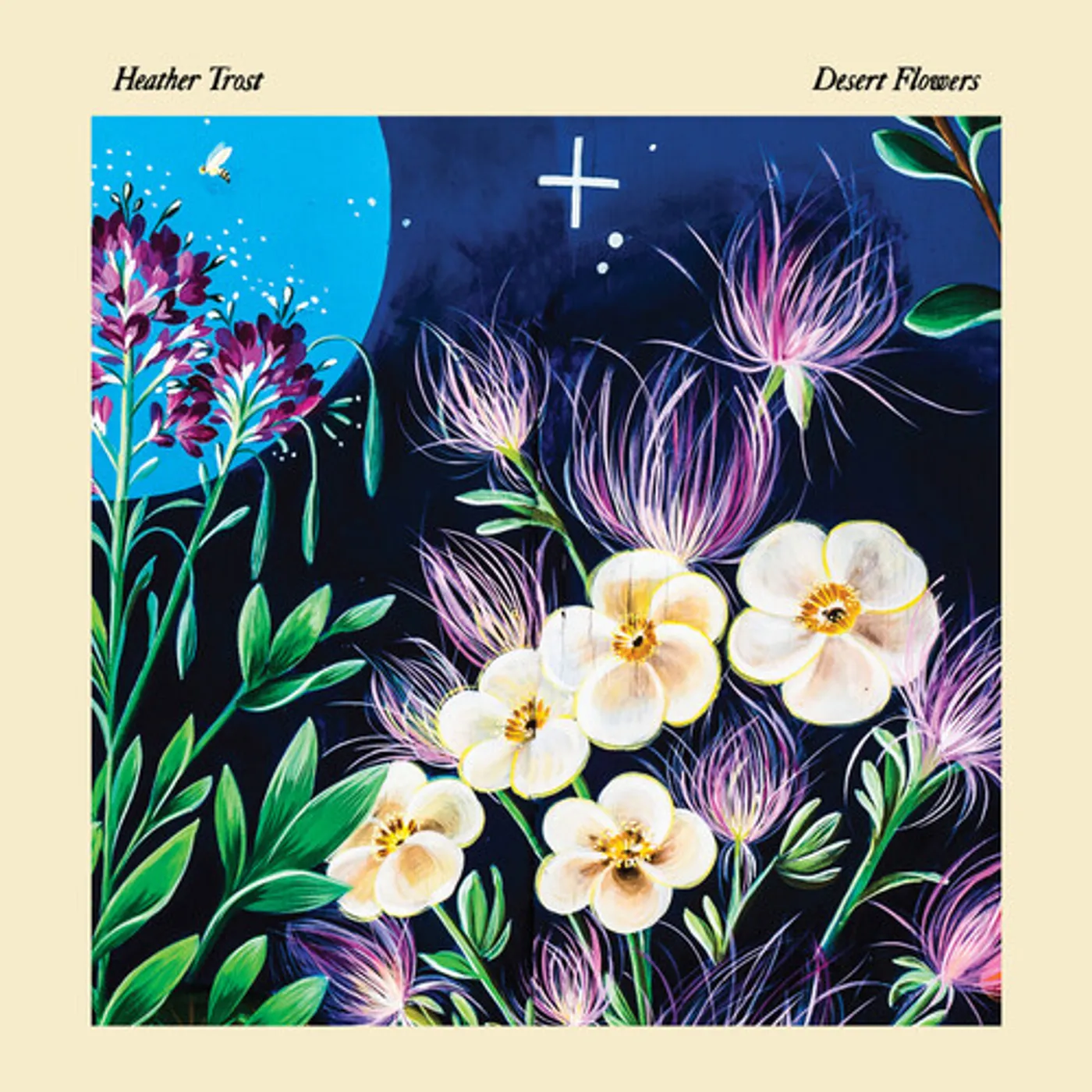 Heather Trost DESERT FLOWERS CD