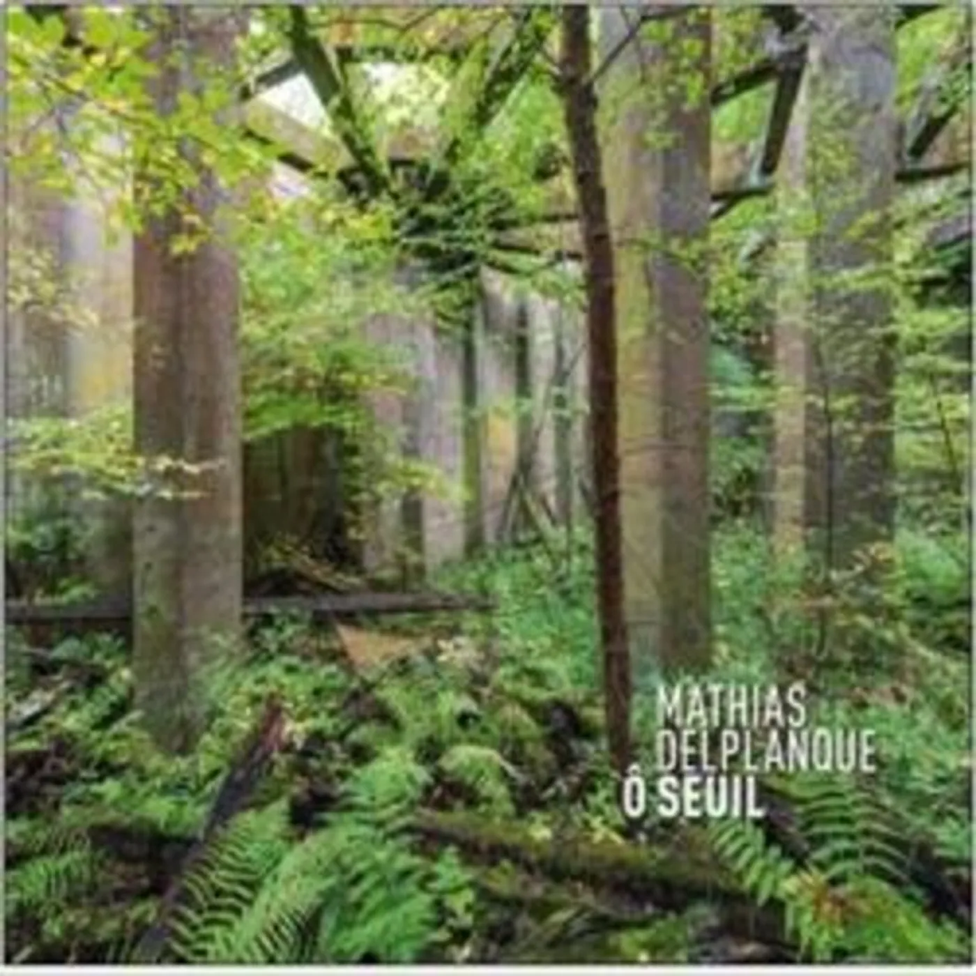 Mathias Delplanque O SEUIL CD