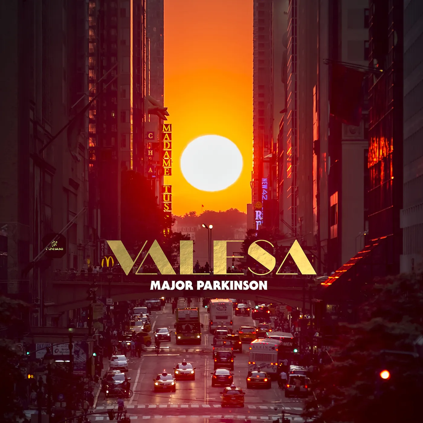 Major Parkinson VALESA Vinyl Record