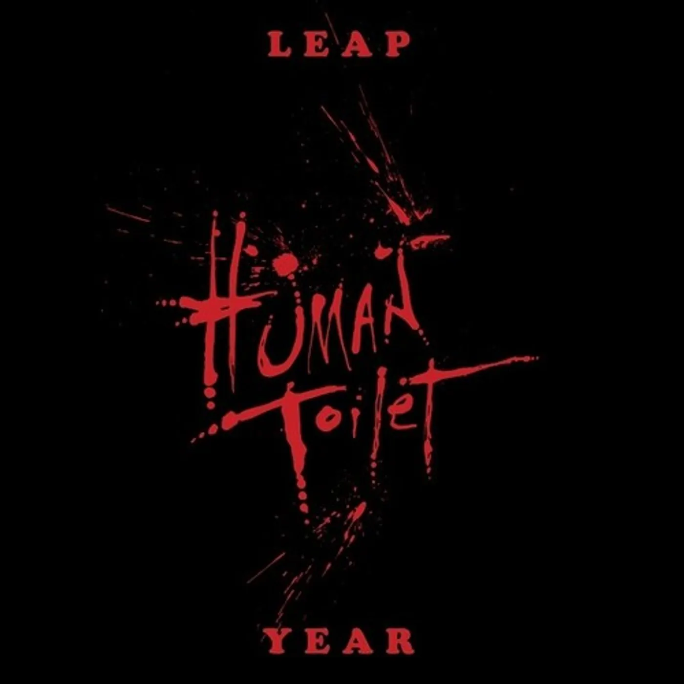Human Toilet LEAP YEAR Vinyl Record