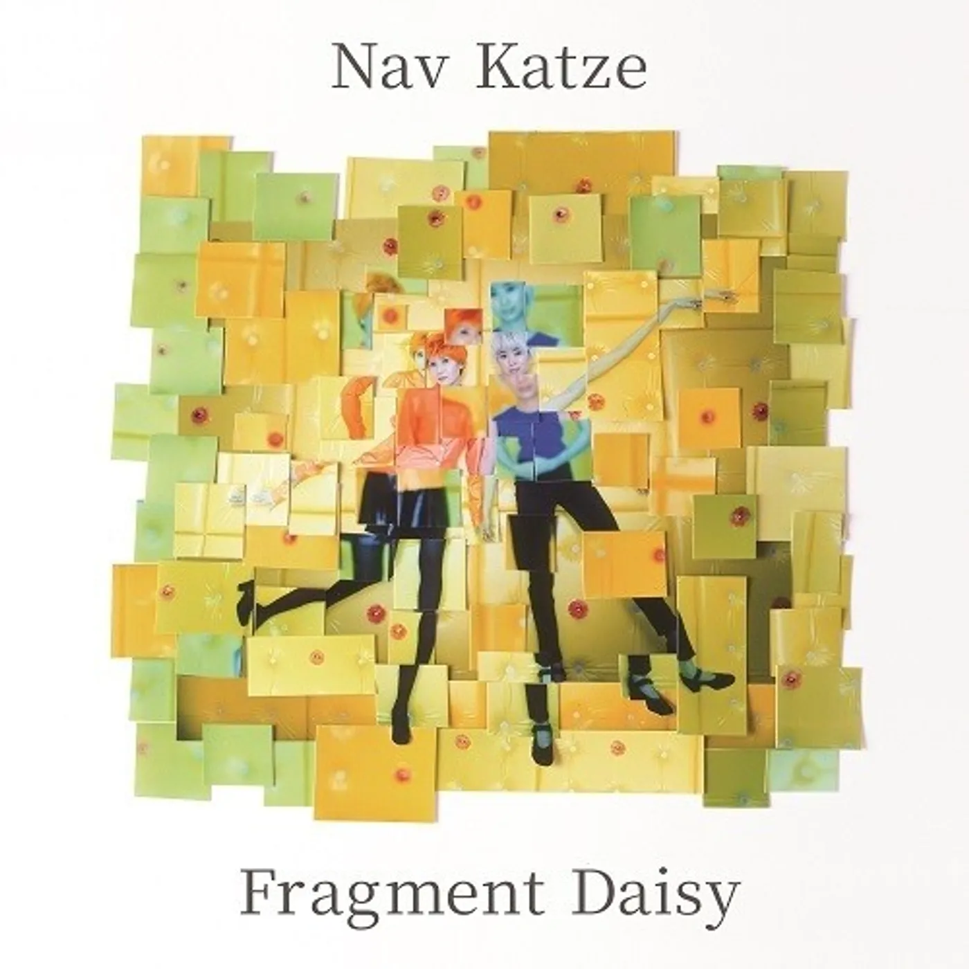 Nav Katze Fragment Daisy Vinyl Record
