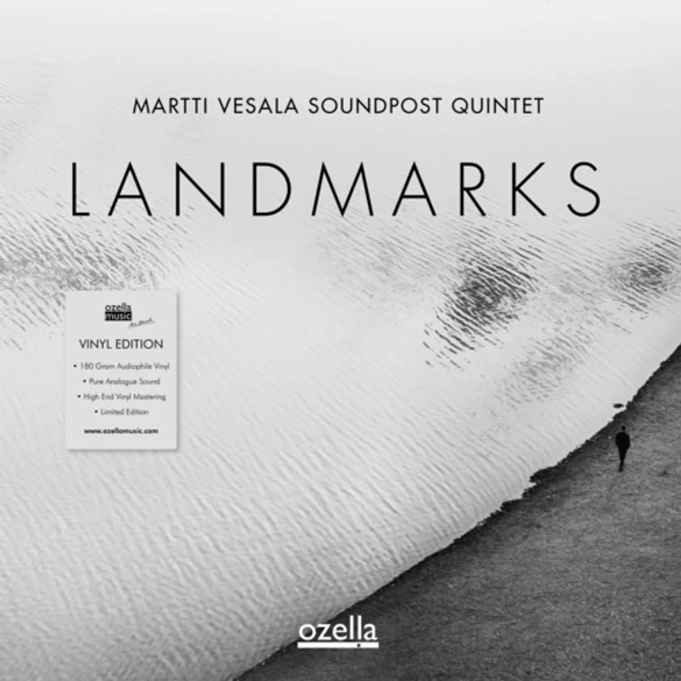 Martti Vesala LANDMARKS Vinyl Record