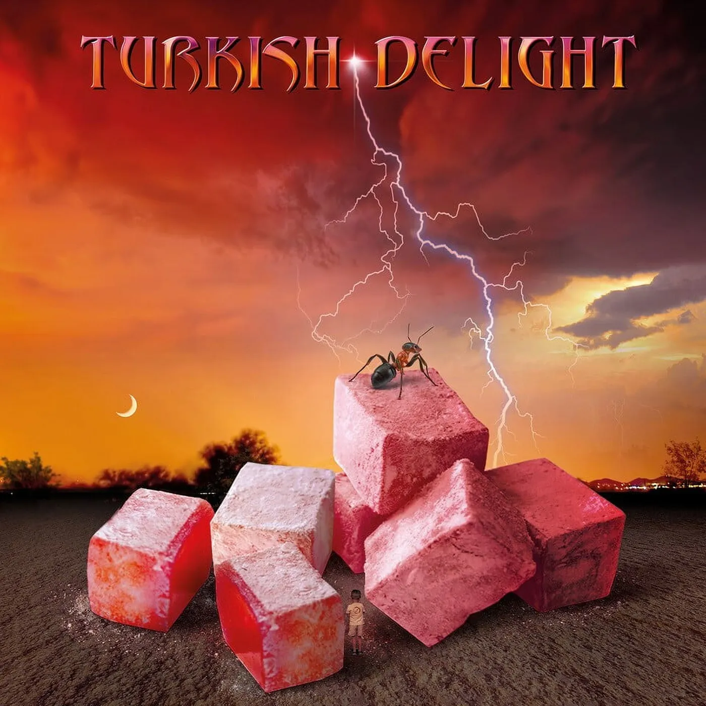 TURKISH DELIGHT VOLUME ONE Vinyl Record