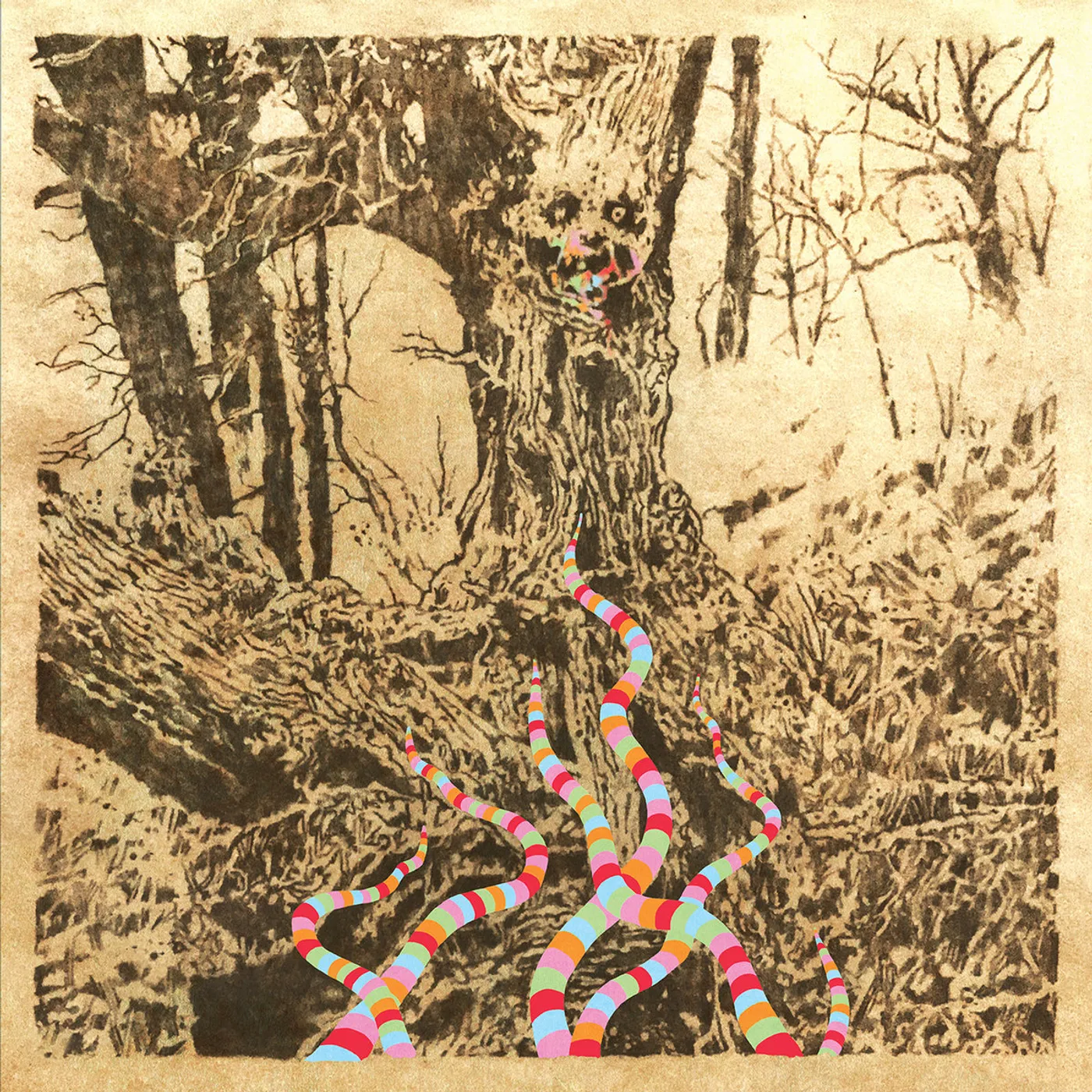 Regal Worm WORM Vinyl Record