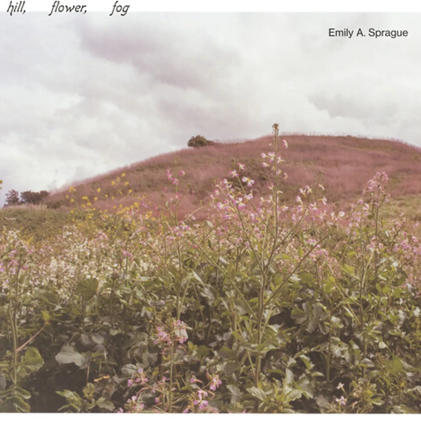 Emily A. Sprague HILL FLOWER FOG - FOGGY WHITE Vinyl Record