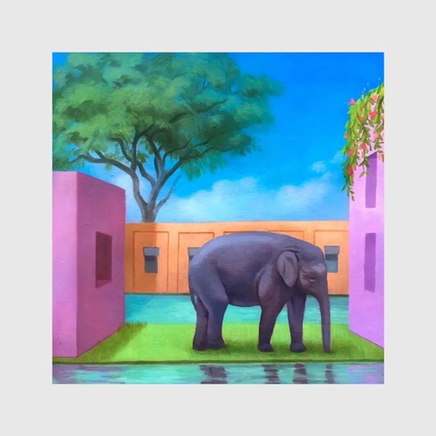 KOREA TOWN ACID ELEPHANT IN THE ROOM CD