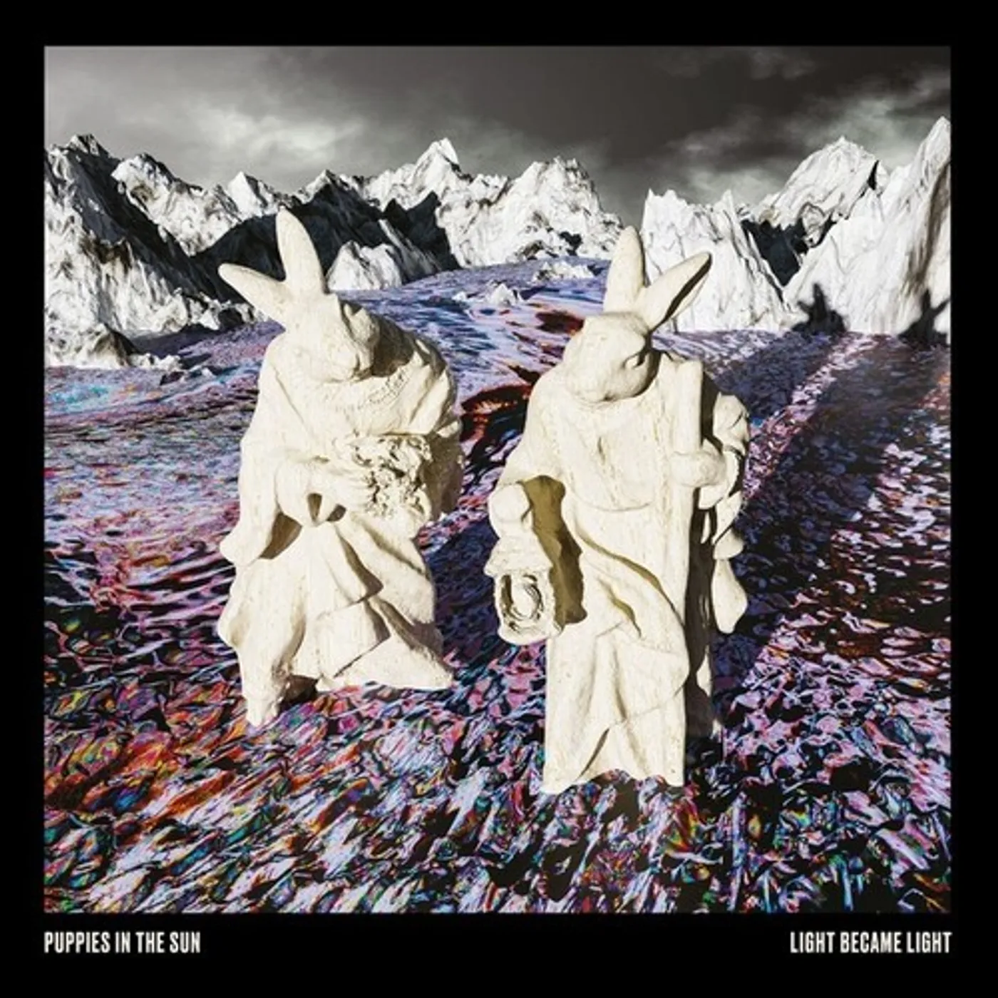 Puppies in the Sun Light Became Light Vinyl Record