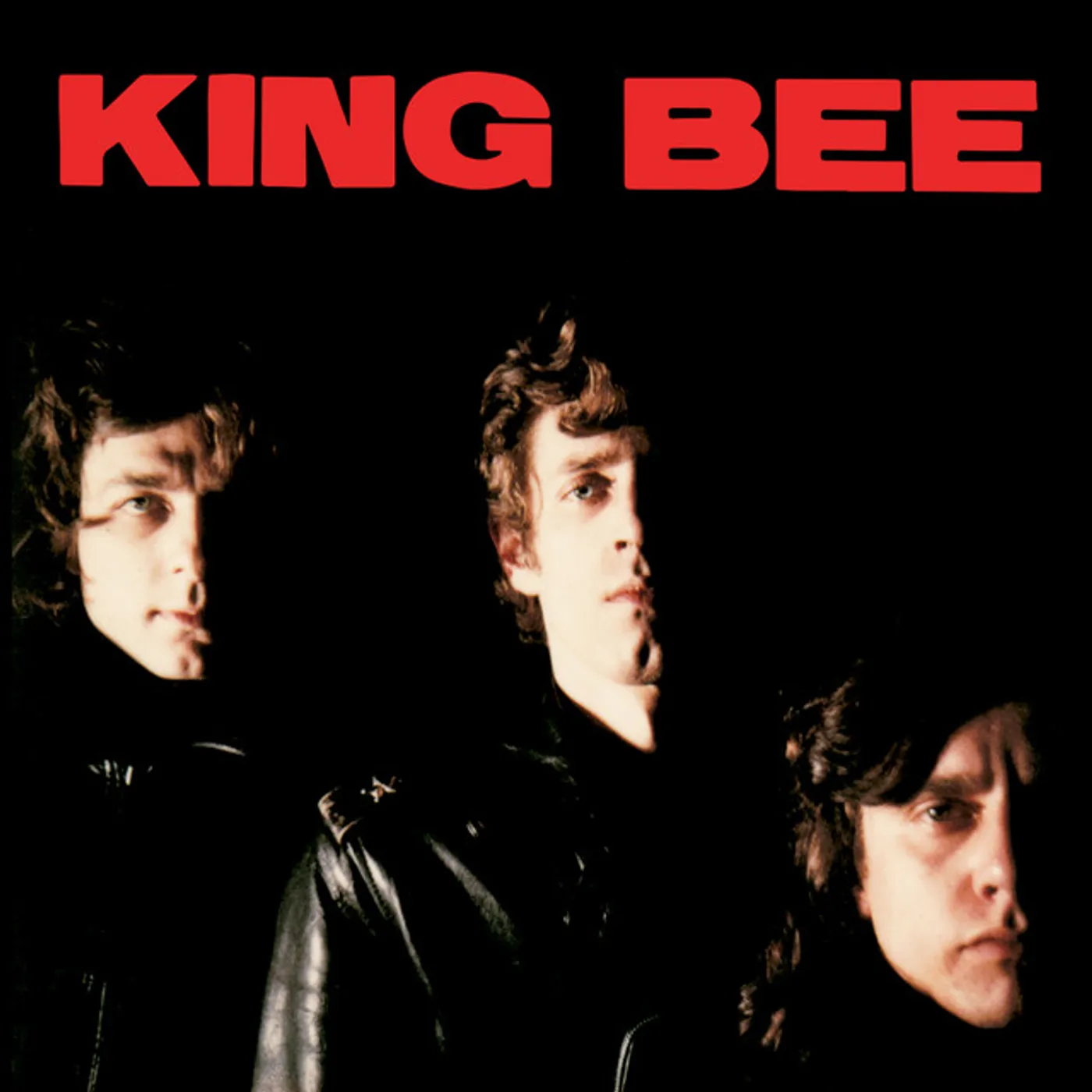 King Bee Vinyl Record