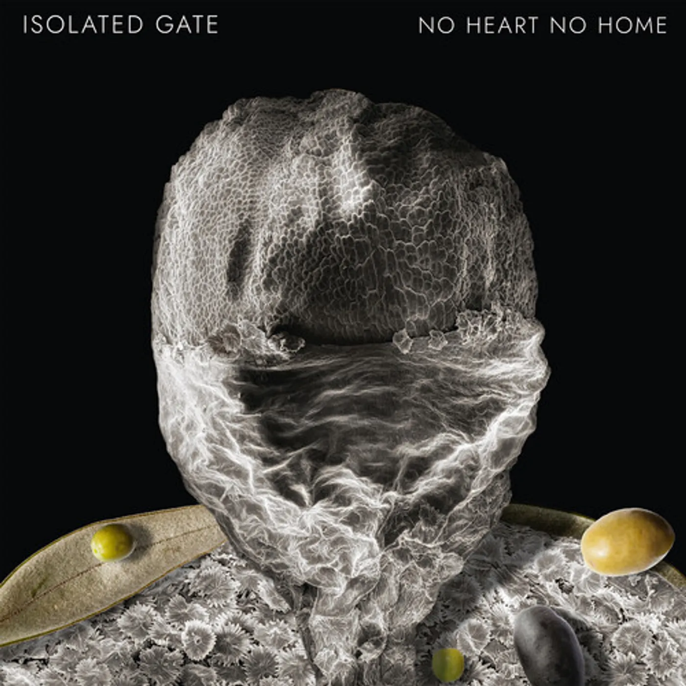 Isolated Gate No Heart No Home Vinyl Record