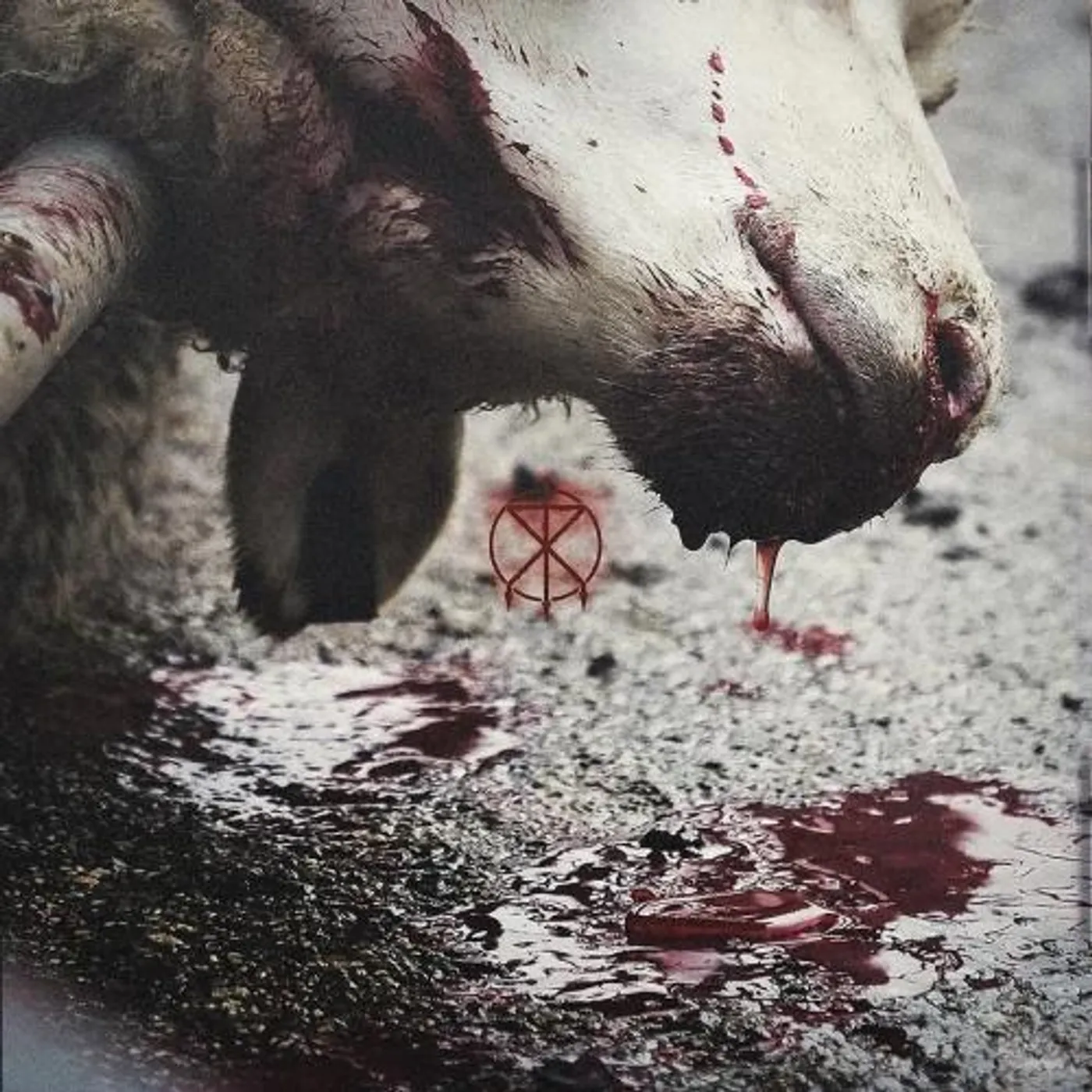 To The Grave Director's Cuts CD