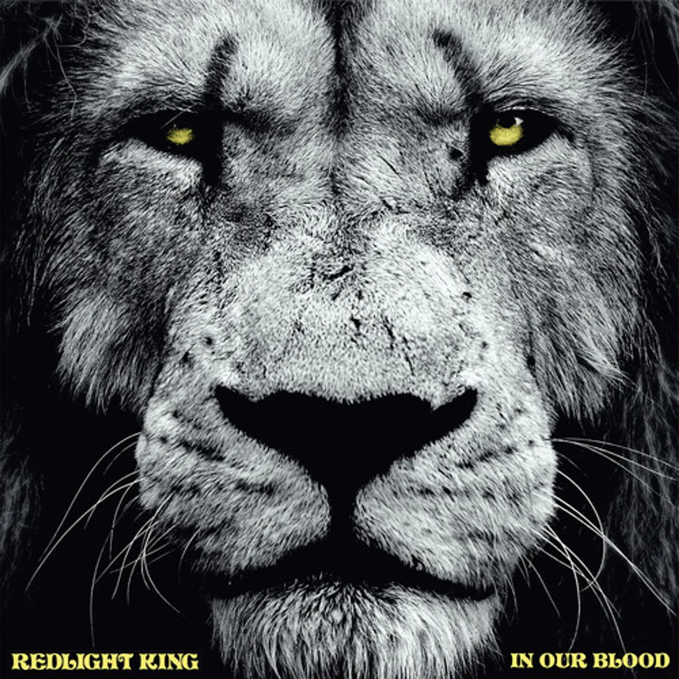 Redlight King IN OUR BLOOD CD