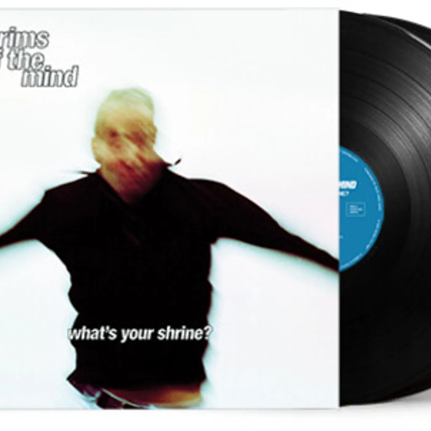 Pilgrims Of The Mind What's Your Shrine? Vinyl Record