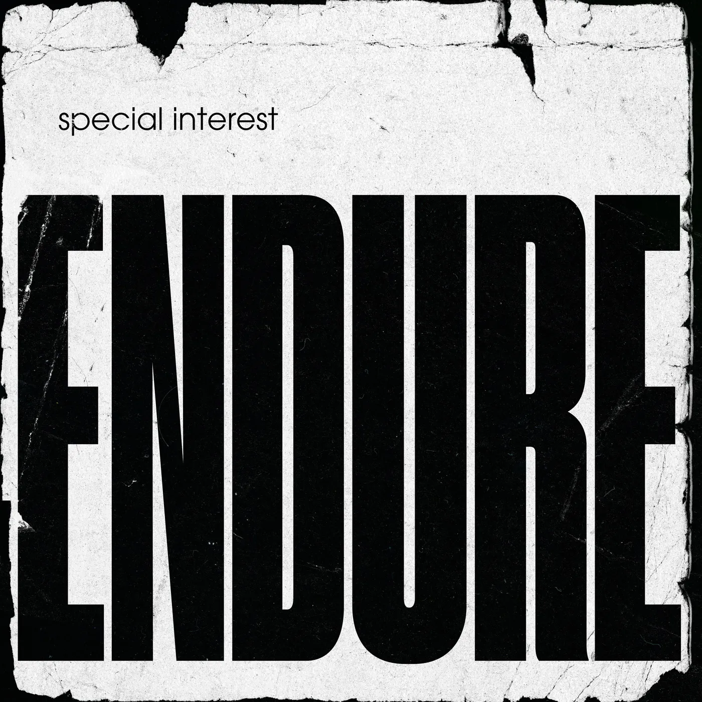 Special Interest ENDURE Vinyl Record