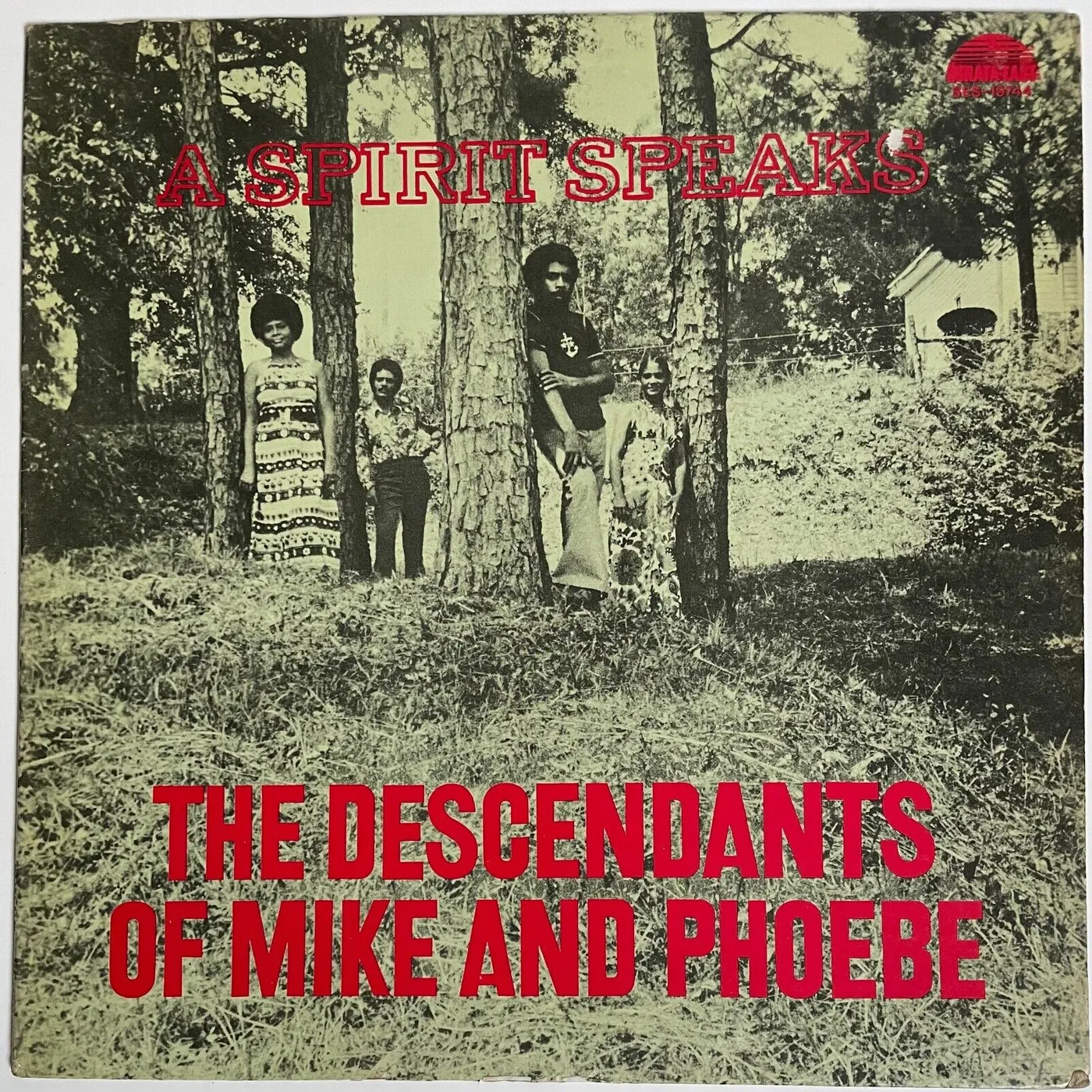 Descendants Of Mike & Phoebe SPIRIT SPEAKS Vinyl Record