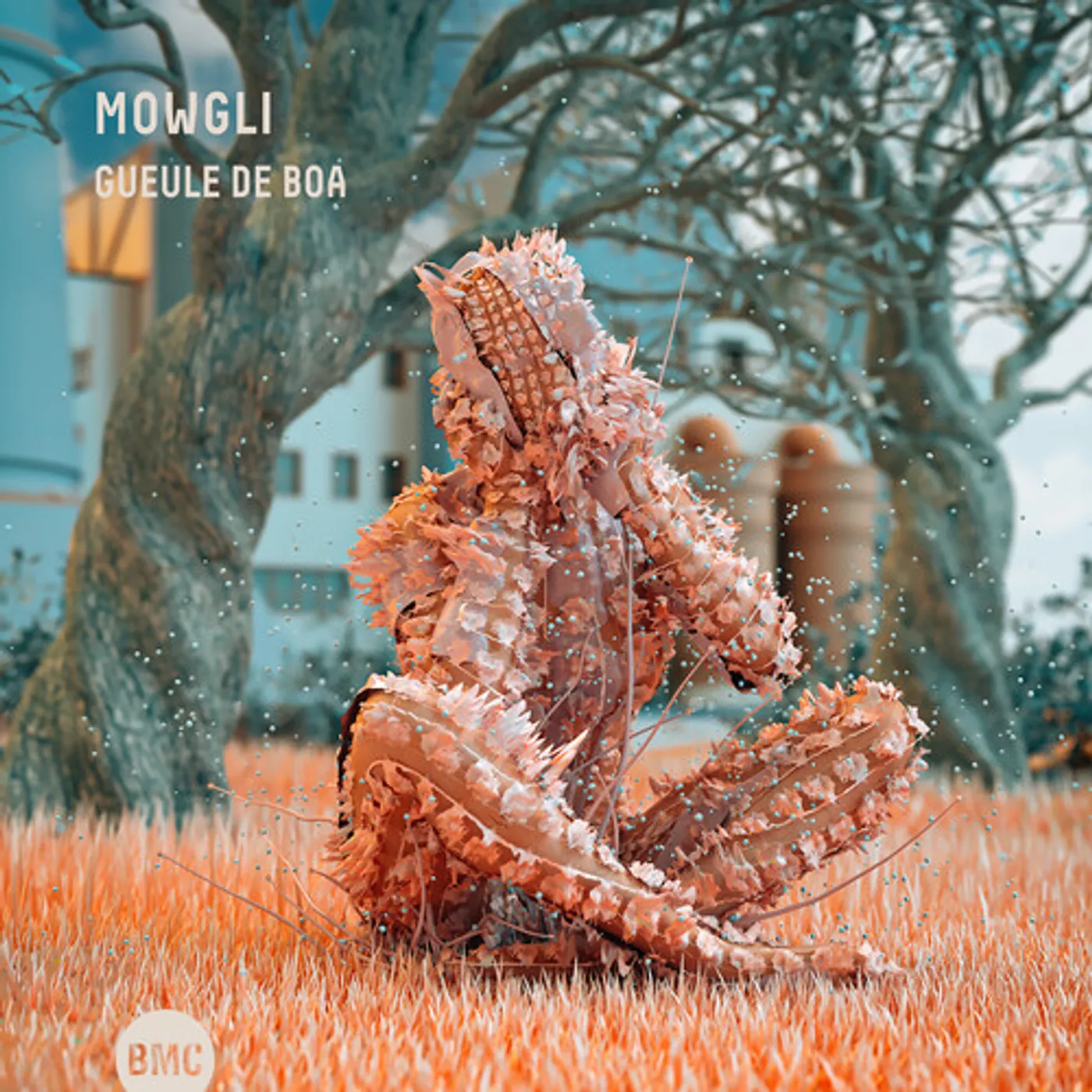 Mowgli GUEULE DE BOA CD