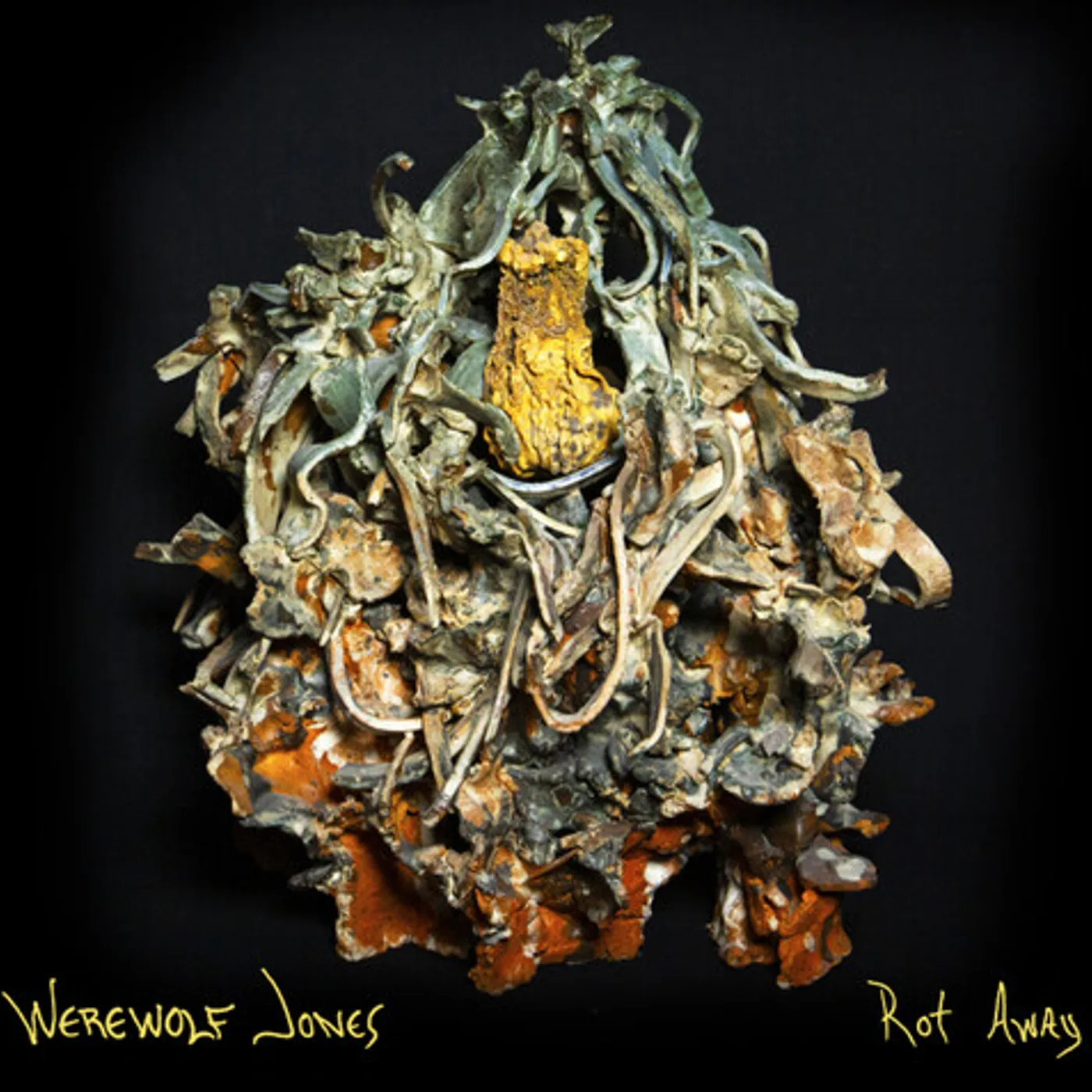 Werewolf Jones Rot Away Vinyl Record