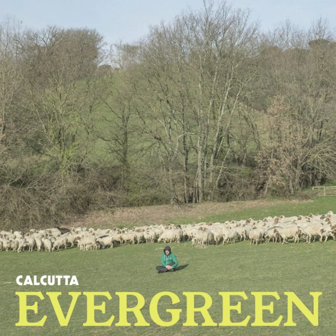 Calcutta  Evergreen (White & Green Splatter) Vinyl Record