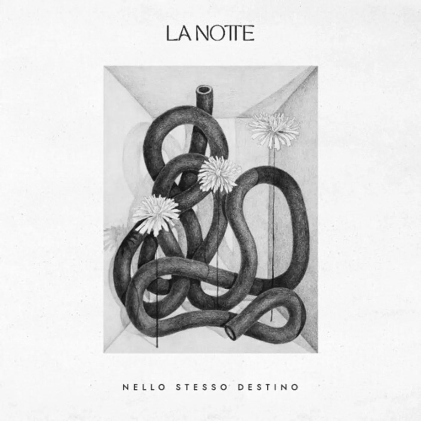 La Notte NELLO STESSO DESTINO CD
