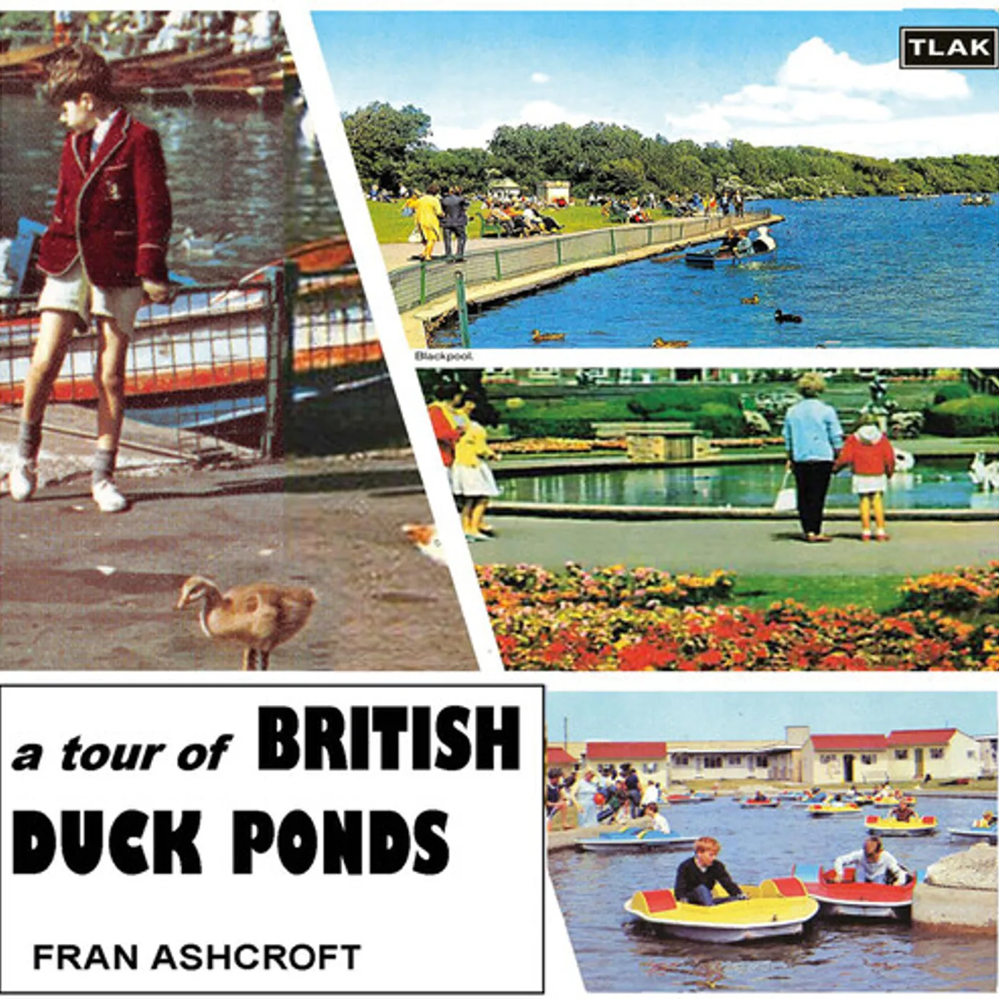 Fran Ashcroft TOUR OF BRITISH DUCK PONDS CD