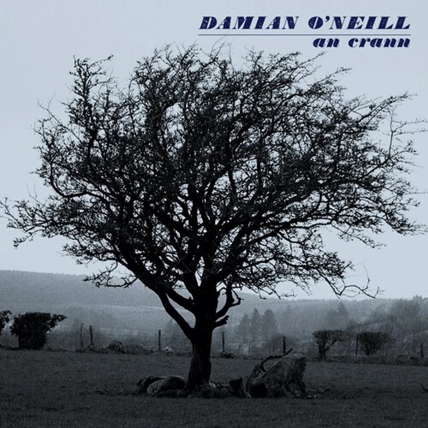 Damian O'Neill CRANN CD
