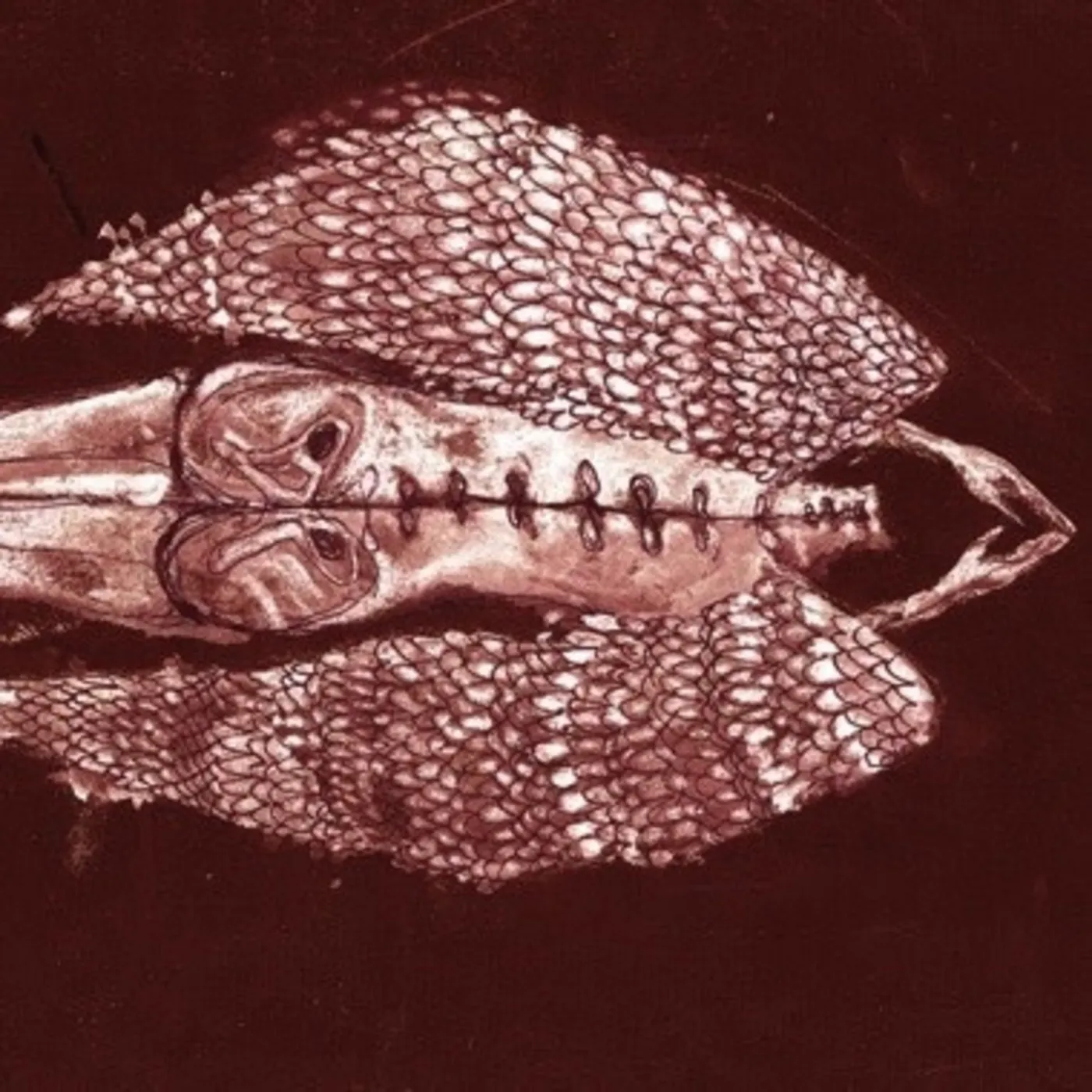 Cerberus Shoal HOMB Vinyl Record