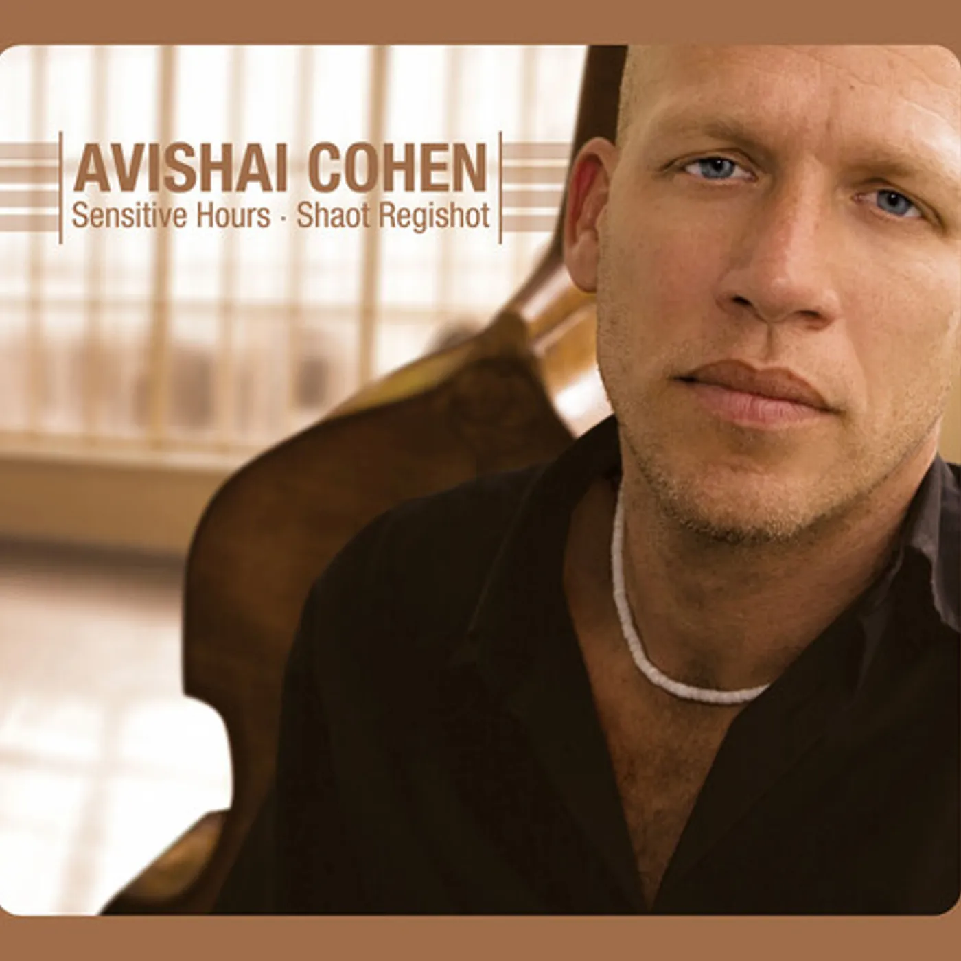 Avishai Cohen SENSITIVE HOURS CD
