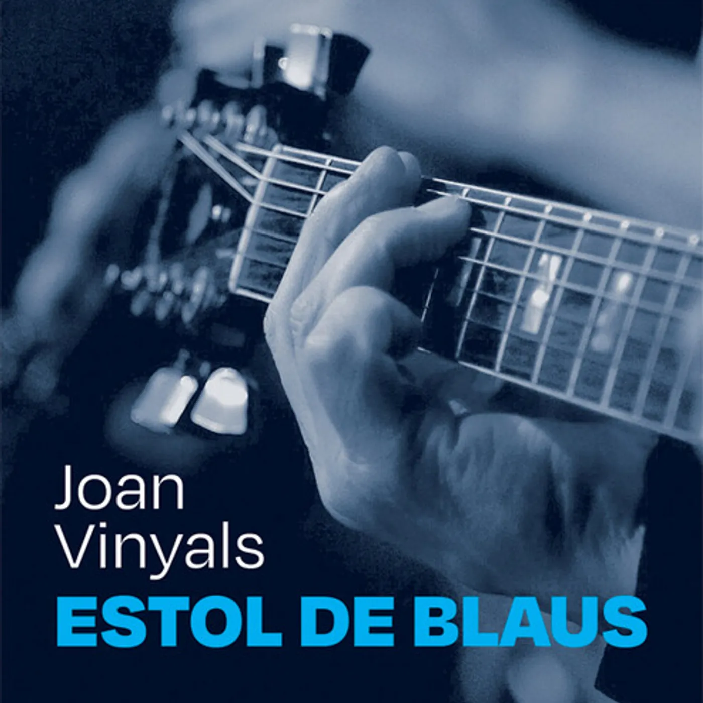 Joan Vinyals ESTOL DE BLAUS CD