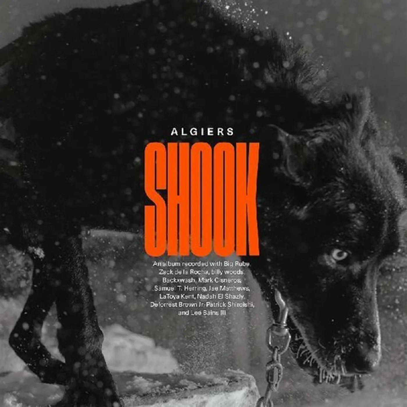 Algiers Shook Vinyl Record