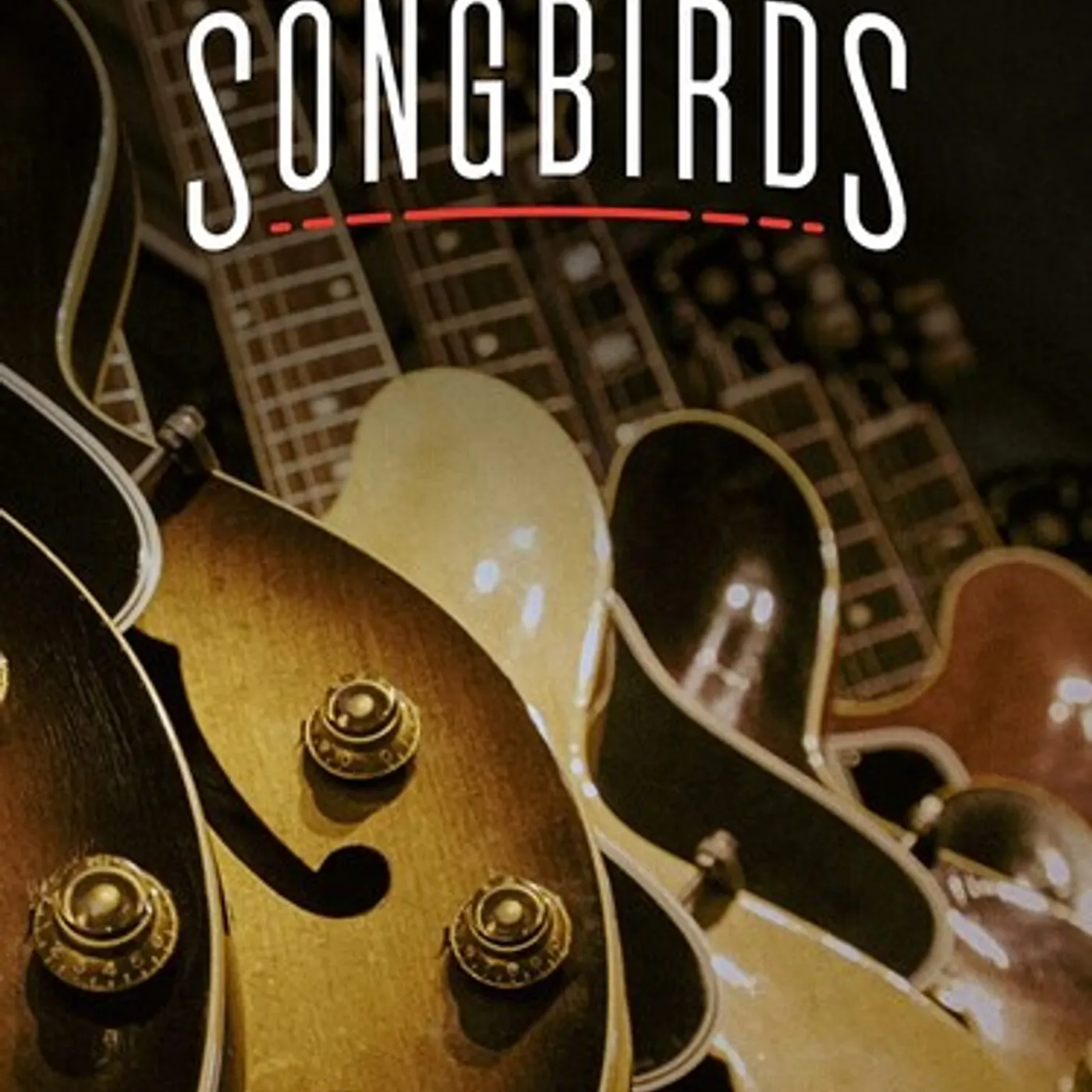 SONGBIRDS DVD