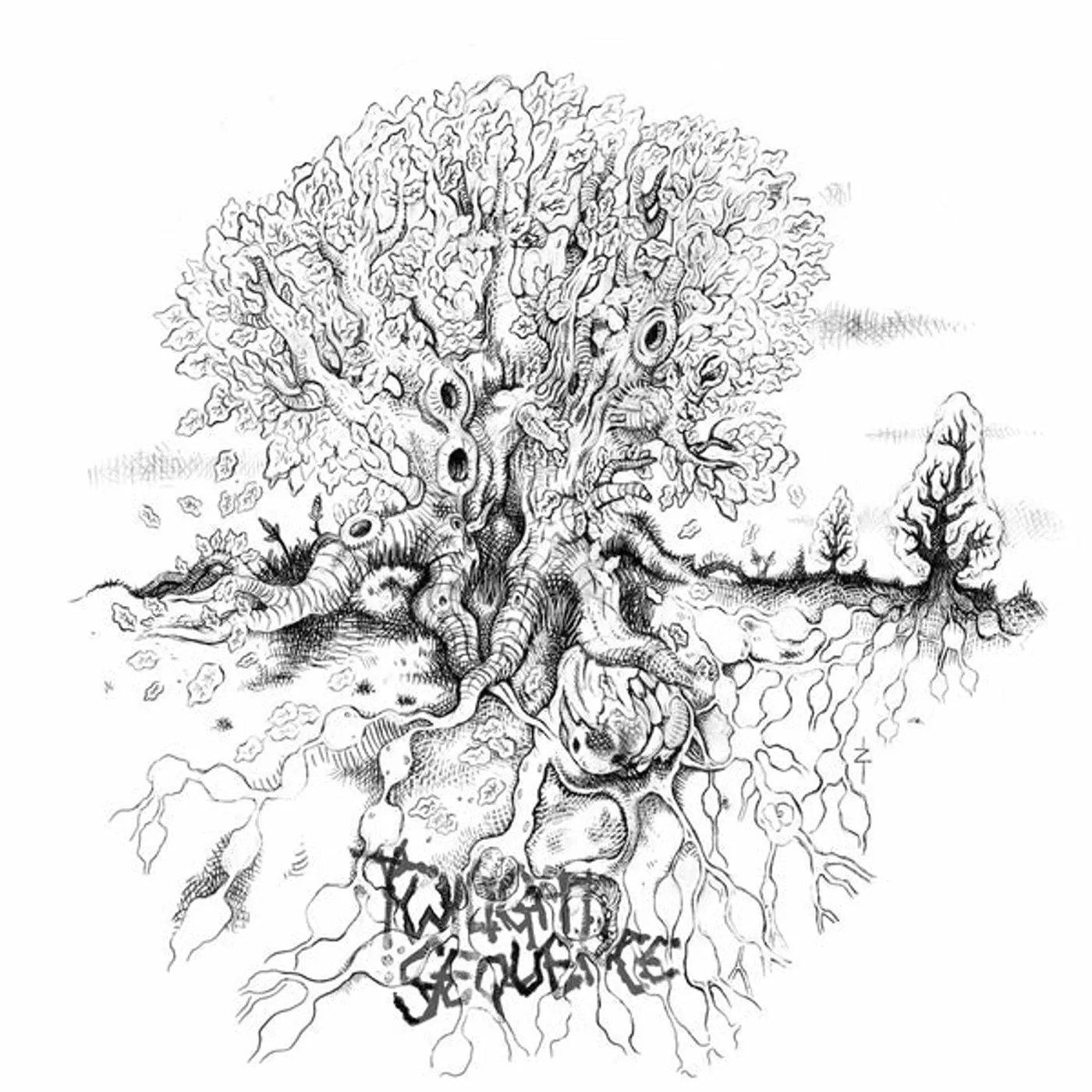 Twilight Sequence TREES IN GENERAL: & THE LARCH Vinyl Record