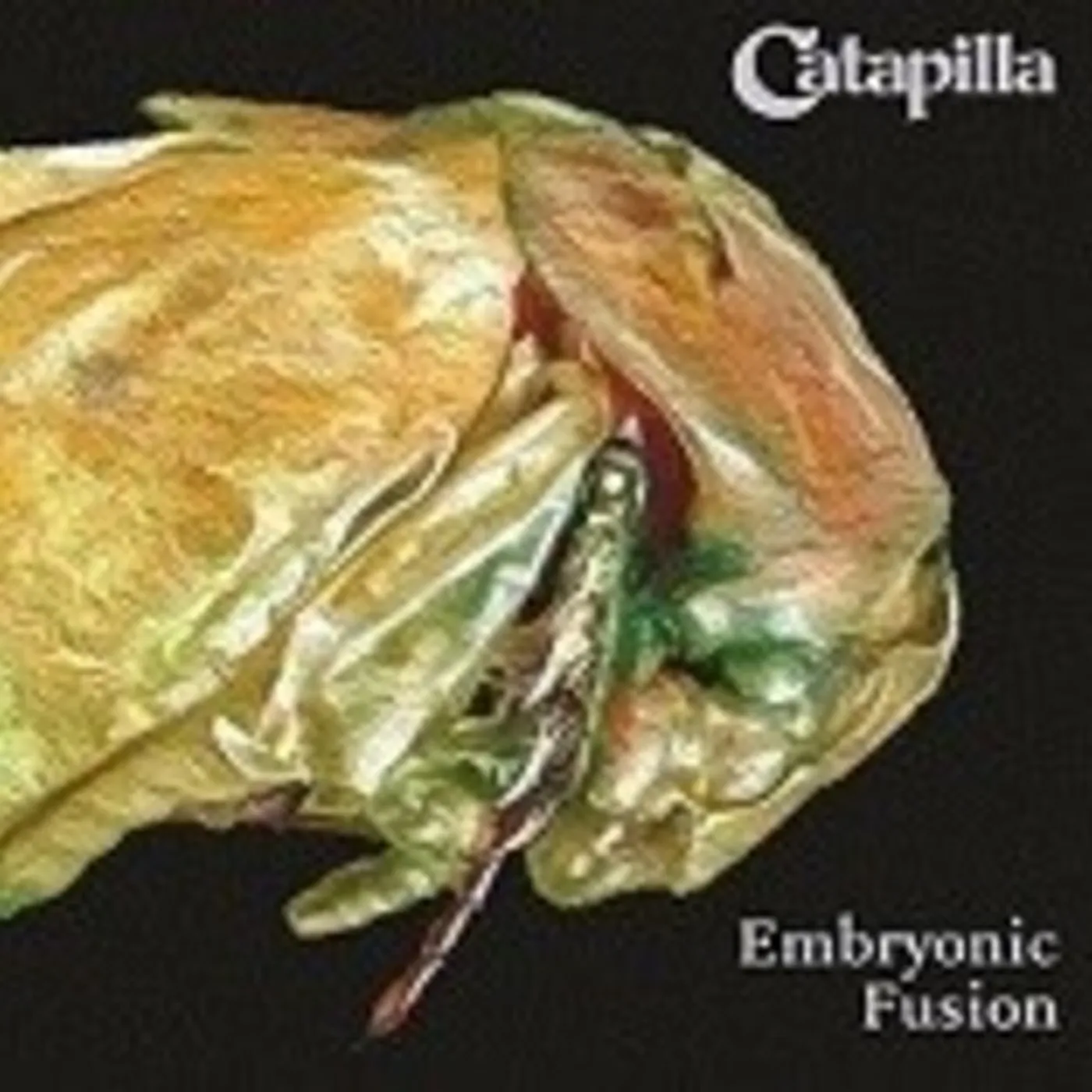 Catapilla EMBRYONIC FUSION Vinyl Record