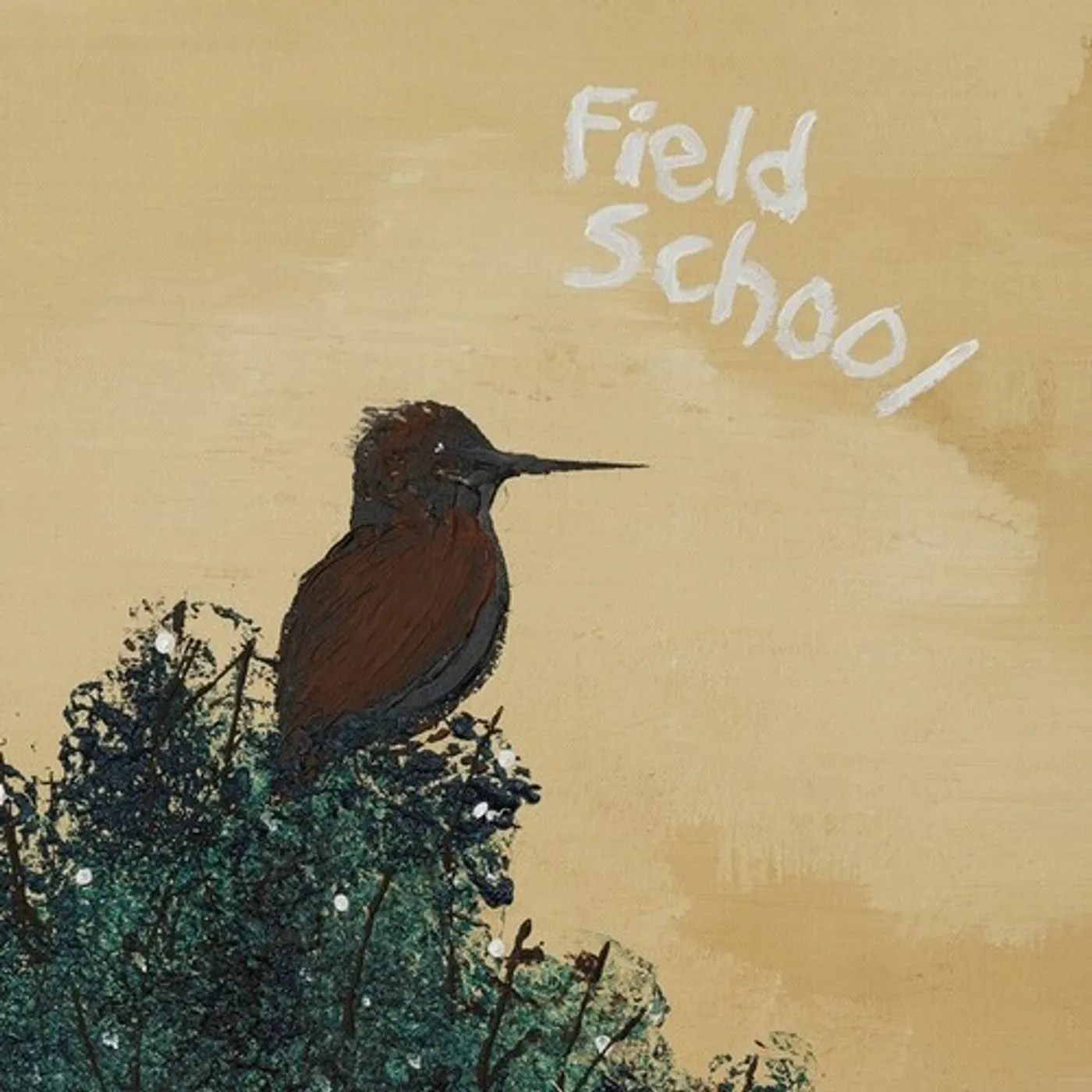 Field School When Summer Comes Vinyl Record