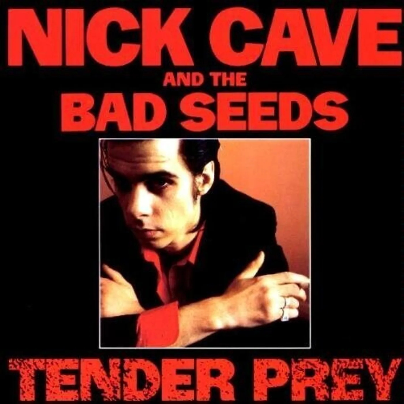 Nick Cave & The Bad Seeds Tender Prey Vinyl Record