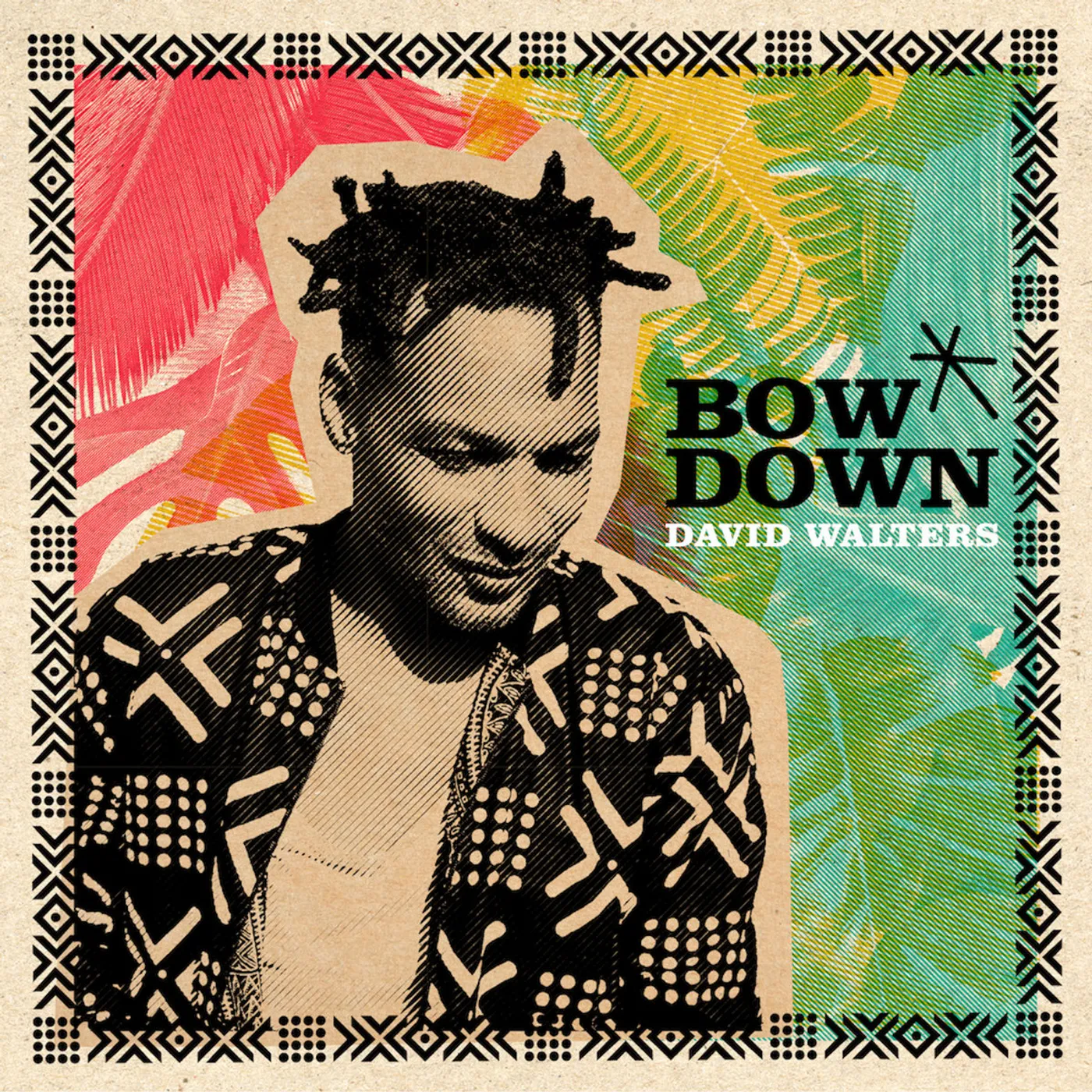 David Walters BOW DOWN Vinyl Record