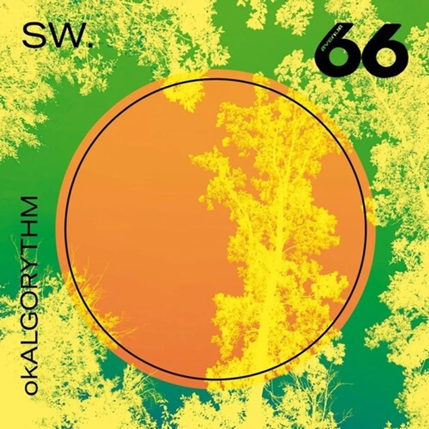SW OKALGORYTHM Vinyl Record