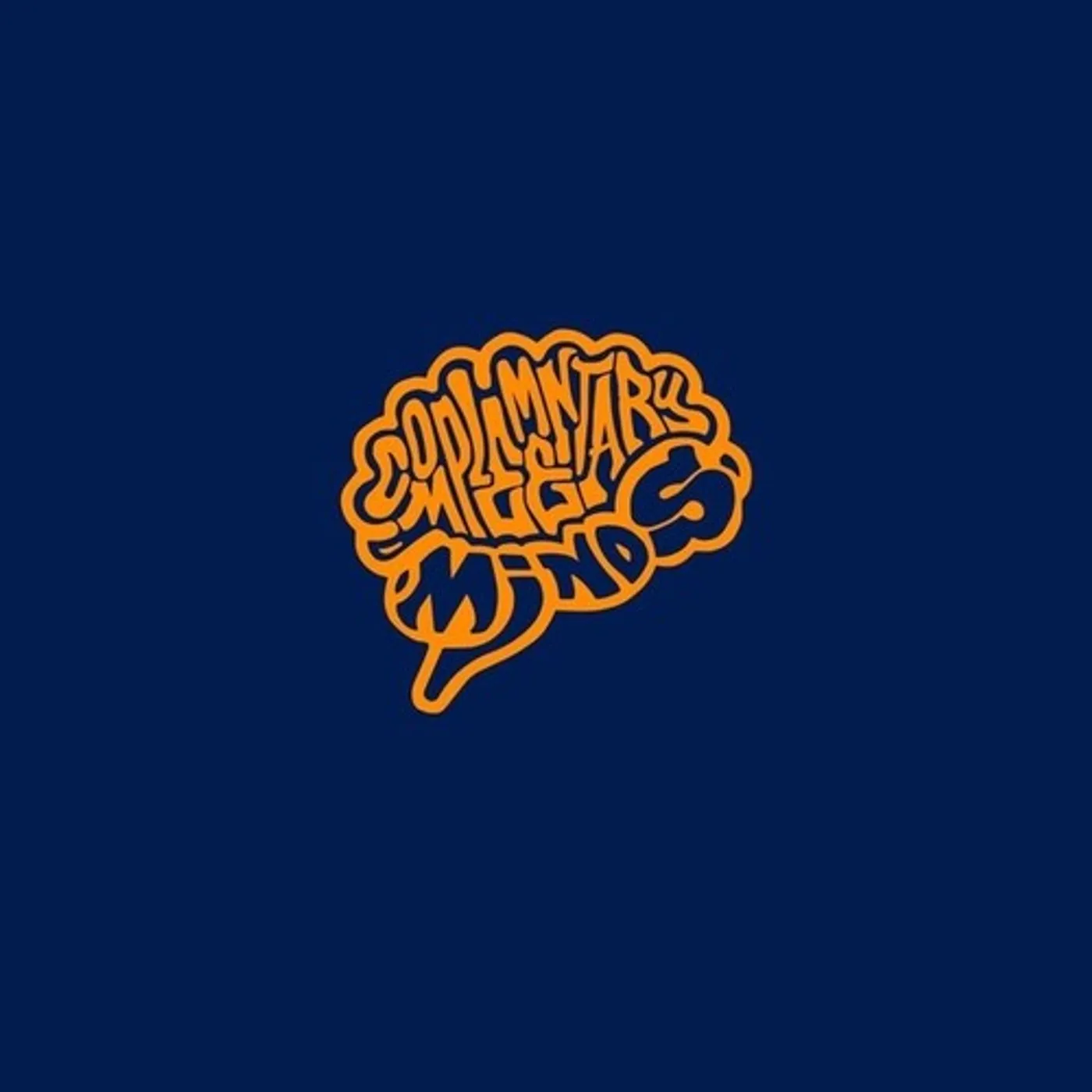BUTCH HAYNES INTRODUCES COMPLEMENTARY MINDS 1 Vinyl Record
